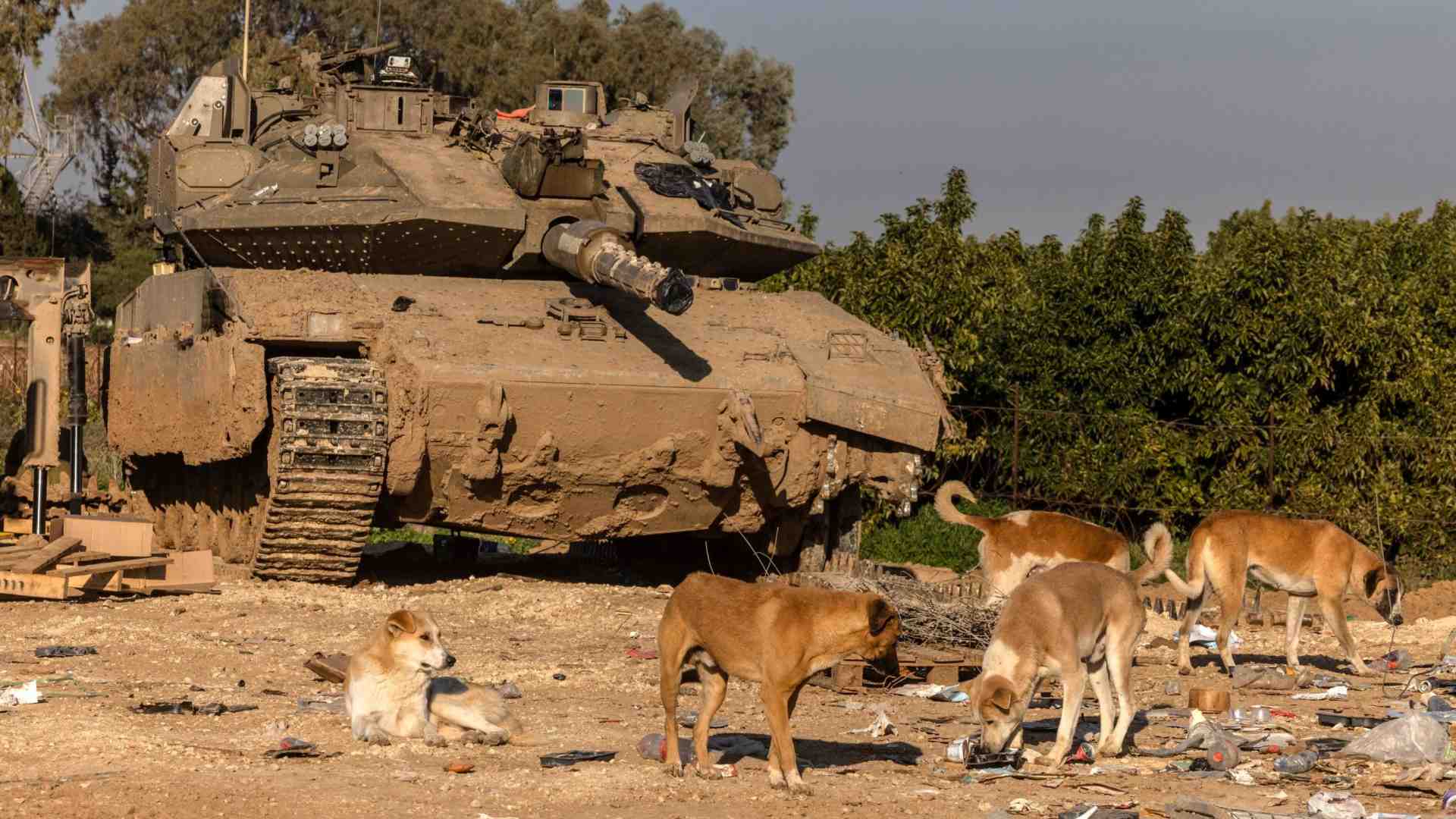 Immagine di La guerra e il baratro dei costi: Israele brucia anche il suo Pil