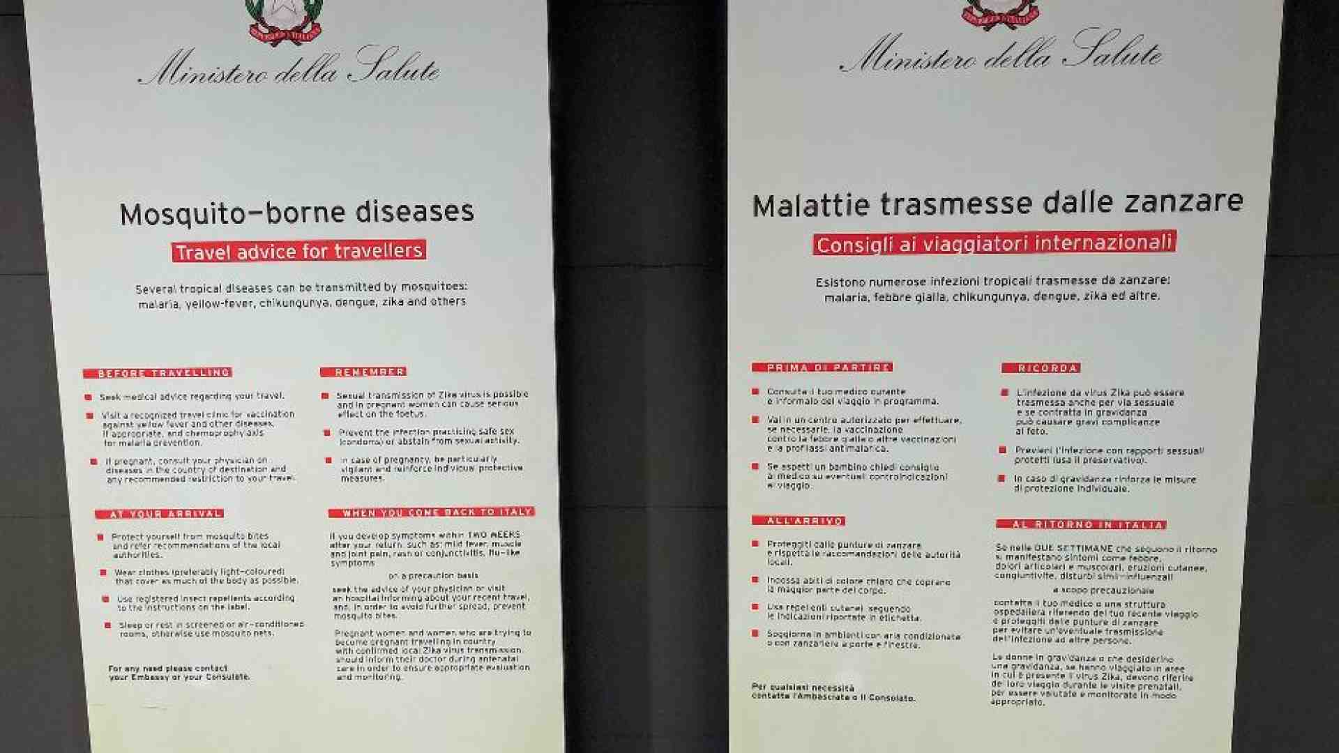 Immagine di Allerta per la Dengue, ma al momento in Italia la situazione è sotto controllo