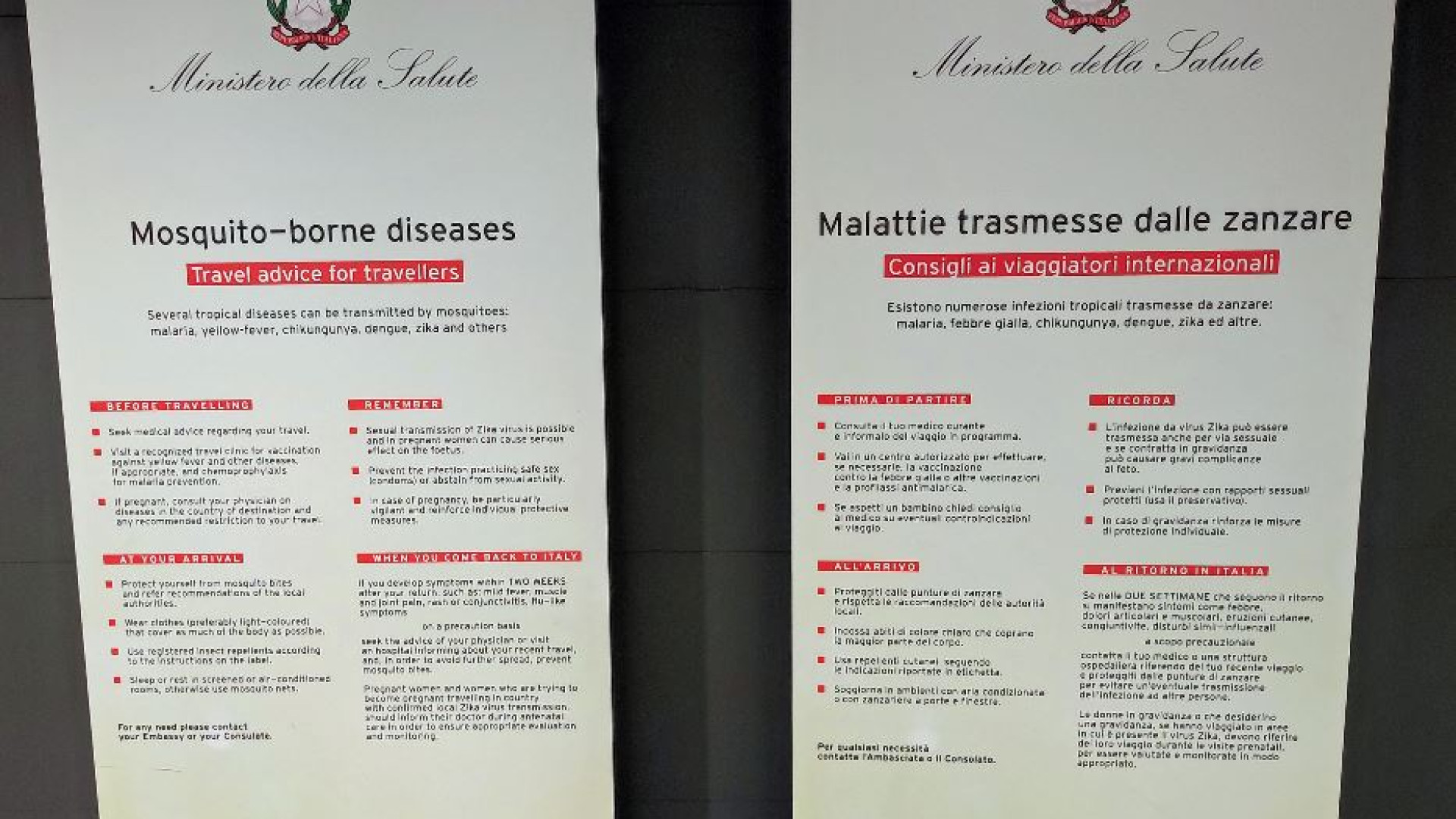 Immagine di Allerta per la Dengue, ma al momento in Italia la situazione è sotto controllo