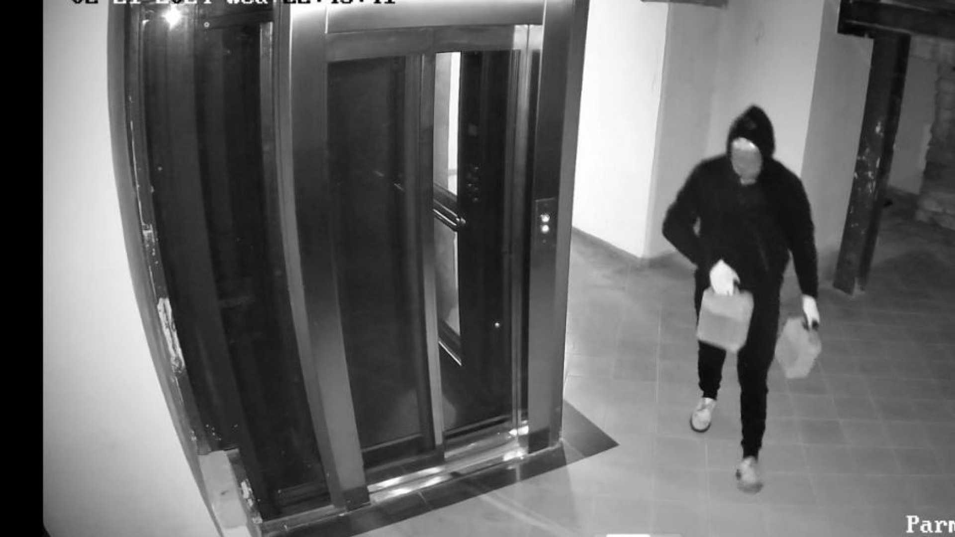 Immagine di Grave intimidazione alla cooperativa Terra Felix, simbolo dell'antimafia