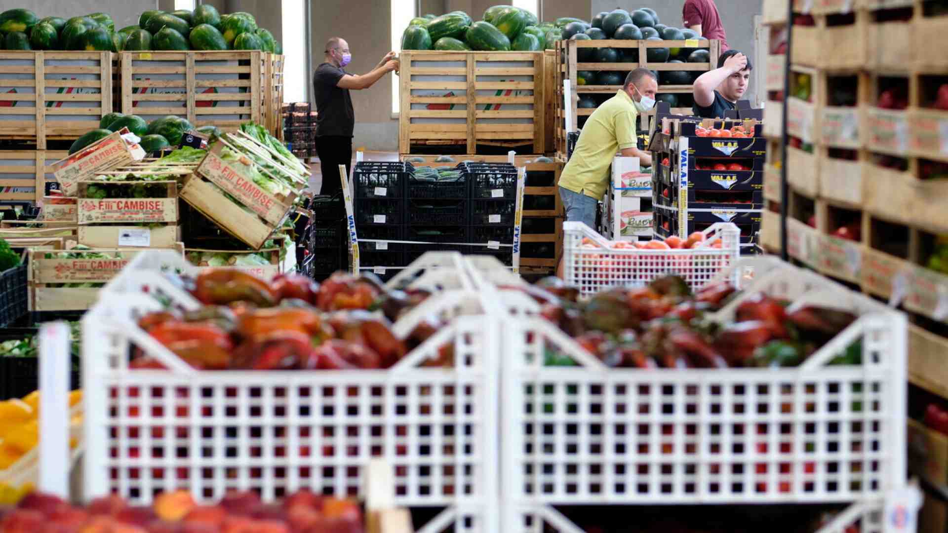 Immagine di Una certificazione per le aziende agroalimentari sostenibili