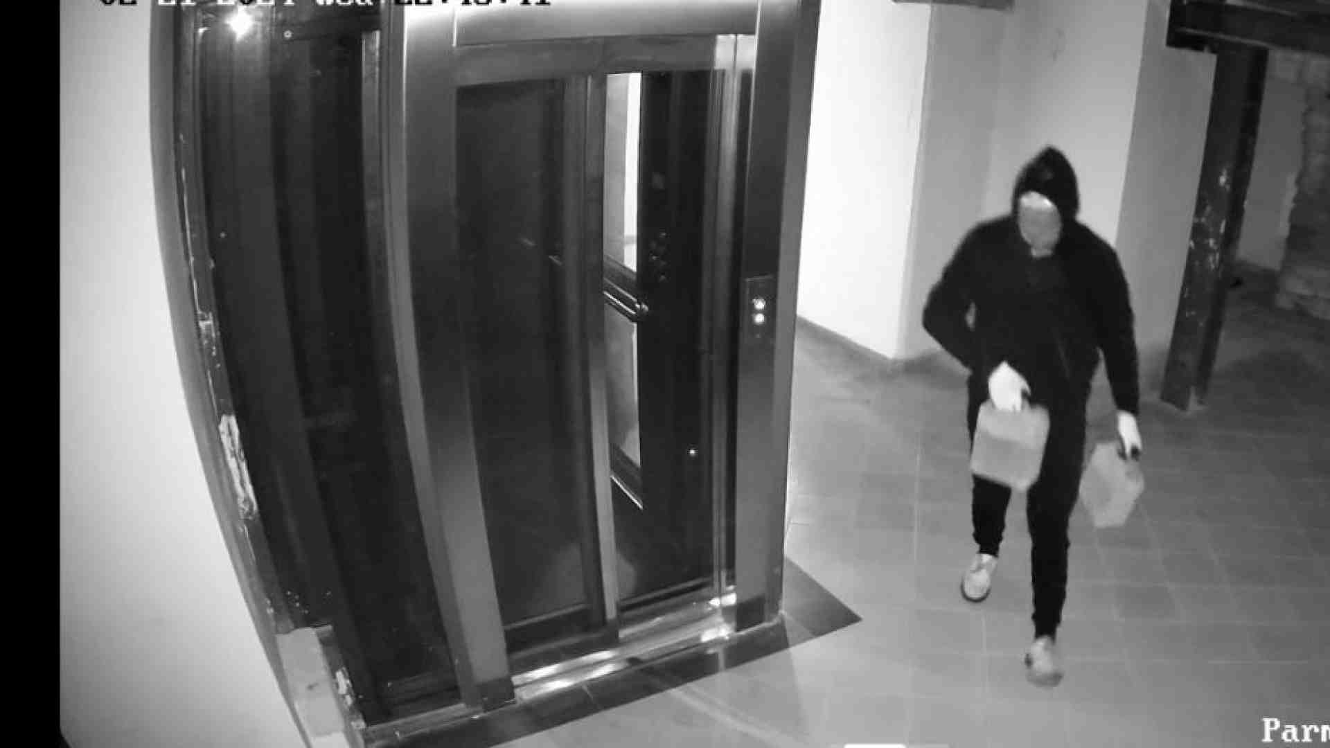 Immagine di Grave intimidazione alla cooperativa Terra Felix, simbolo dell'antimafia