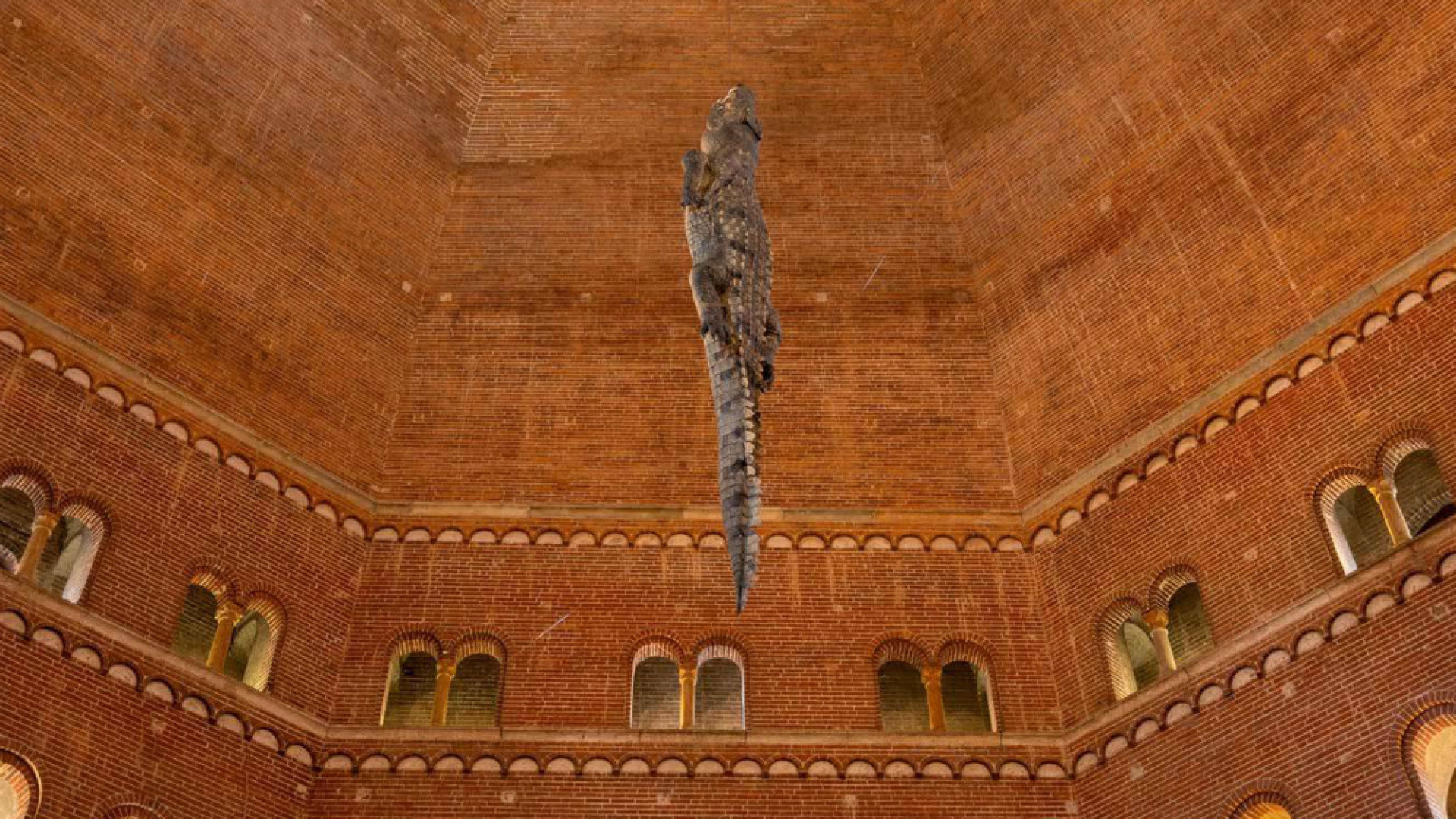 Immagine di Cremona Contemporanea Dove si incontrano sperimentazione e conoscenza della città