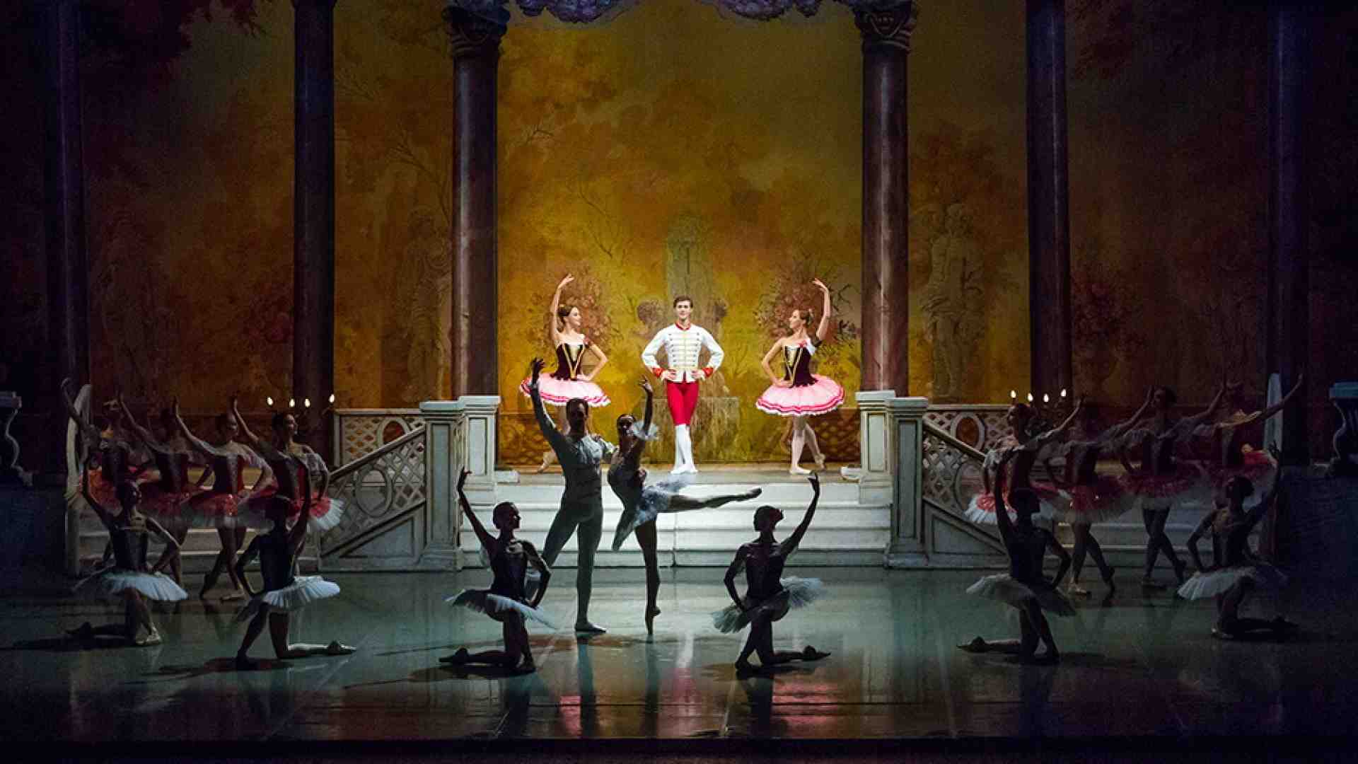 Immagine di Che fortuna danzare a Odessa!