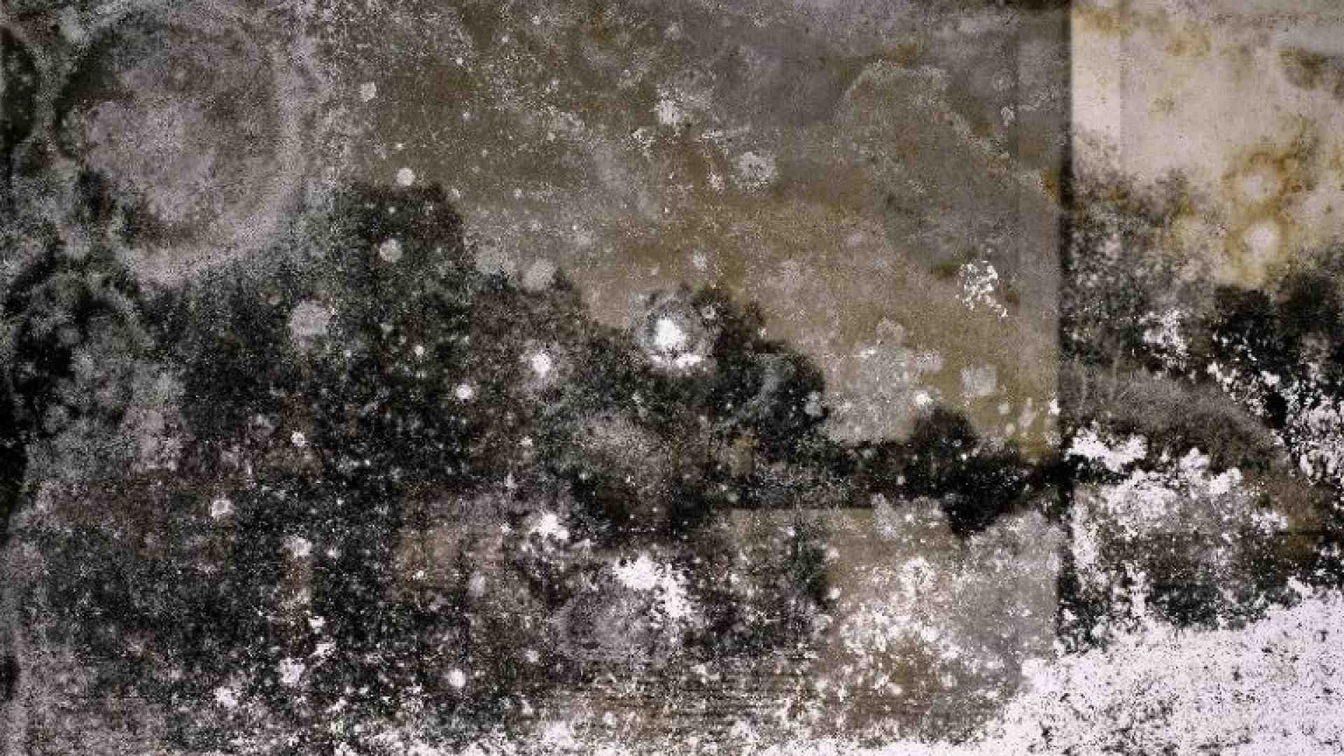 Immagine di Il tempo rivelatore si mostra a Venezia nello splendido atrio di Palazzo Fortuny