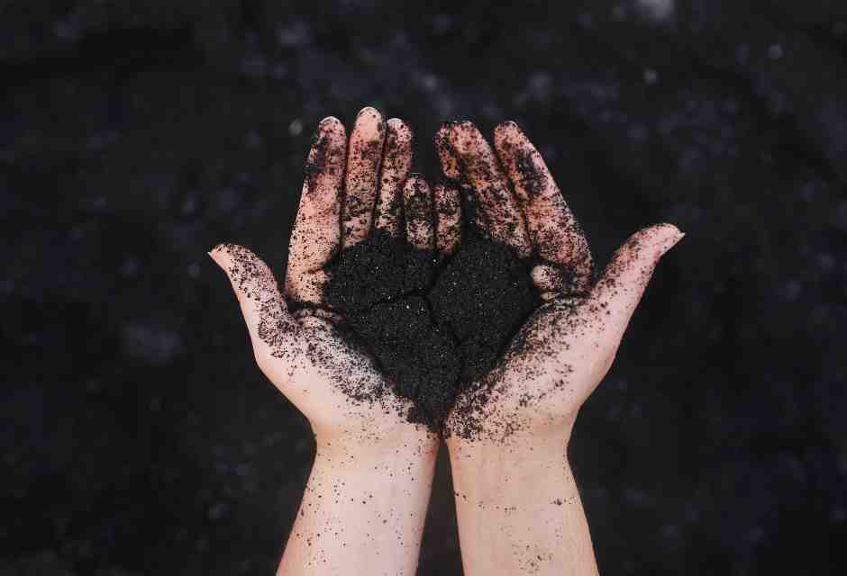 (Unsplash)
