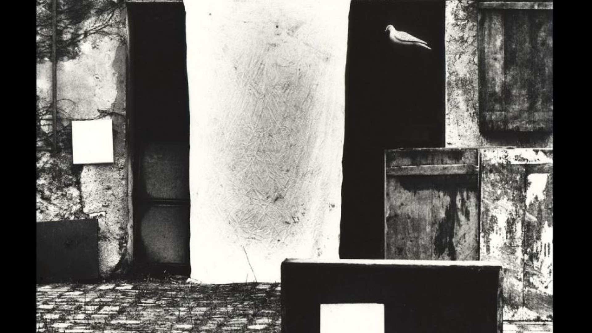 Immagine di L’ultimo Giacomelli: un inno alla vita, fra sogno e realtà