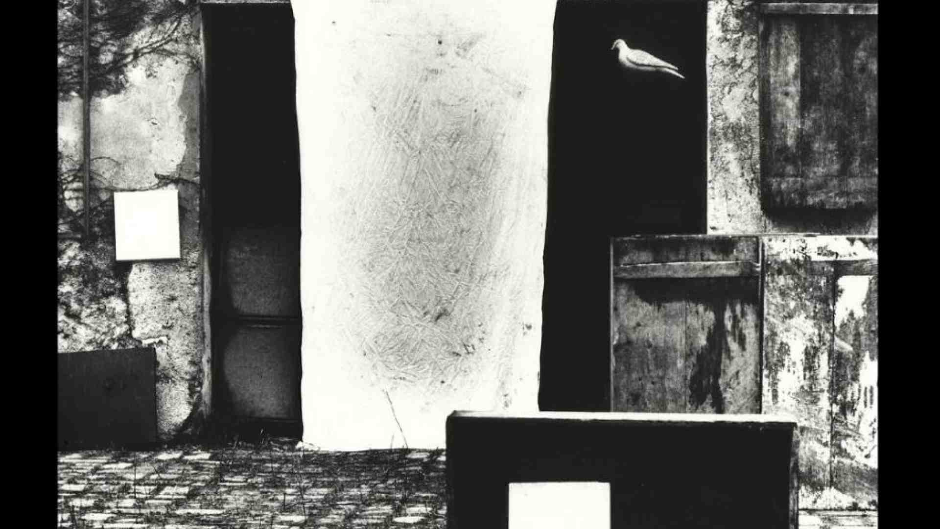 Immagine di L’ultimo Giacomelli: un inno alla vita, fra sogno e realtà