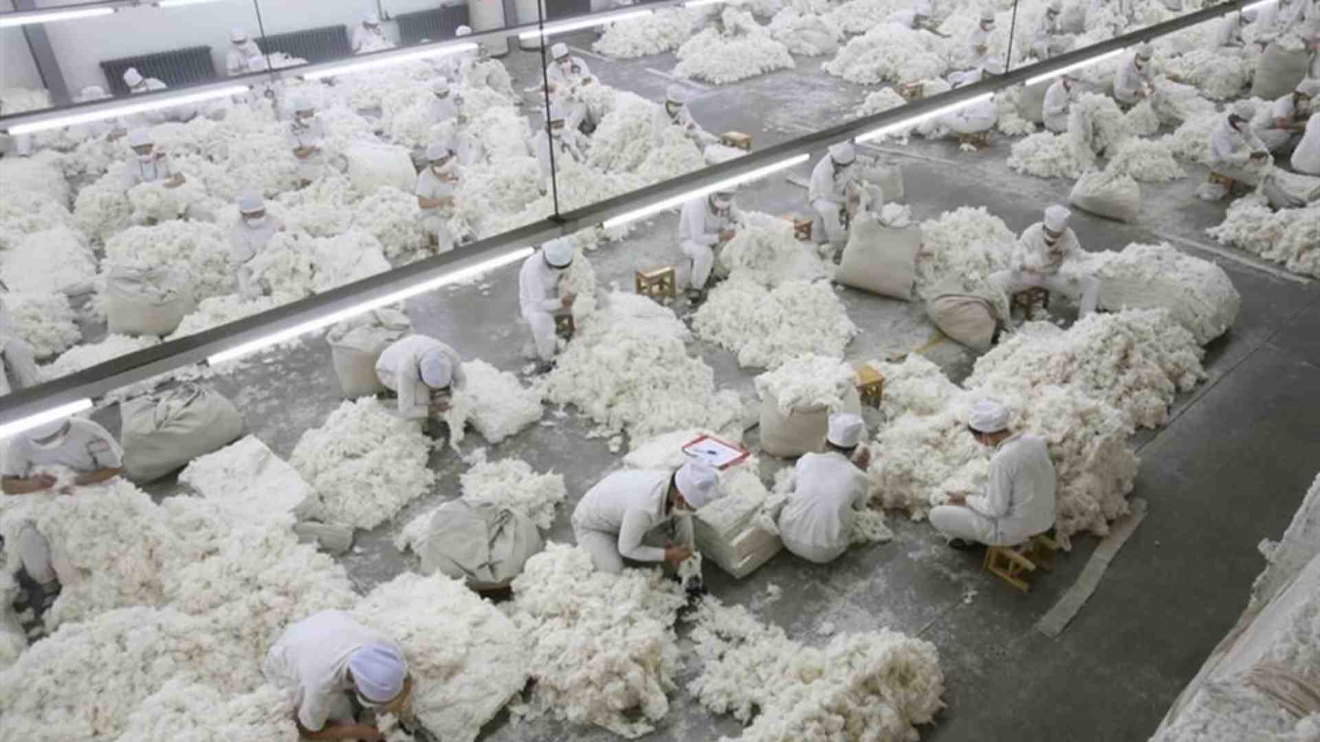 Immagine di Direttiva due diligence bocciata: l'Ue non trova l'accordo