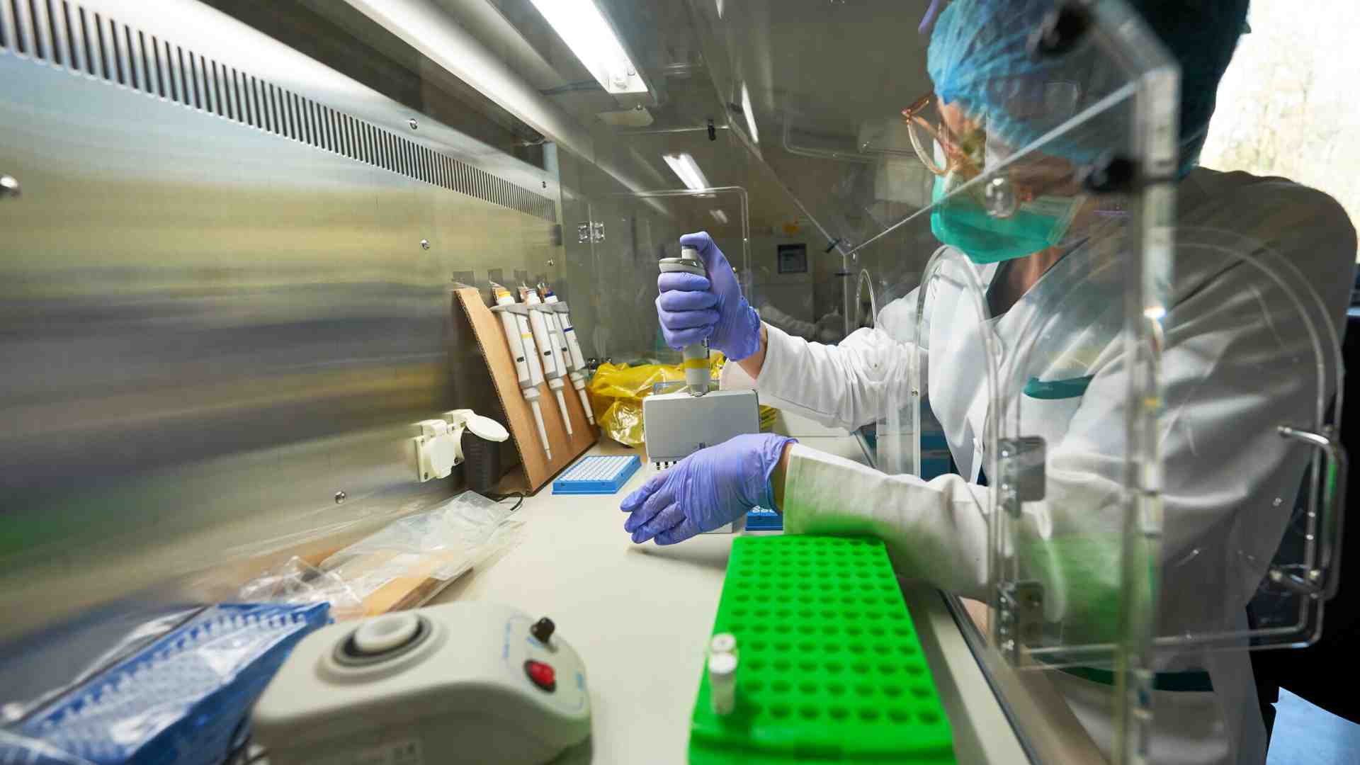 Immagine di Molto prima dei vaccini anticovid, anche altri esseri viventi scambiavano messaggi usando l'Rna
