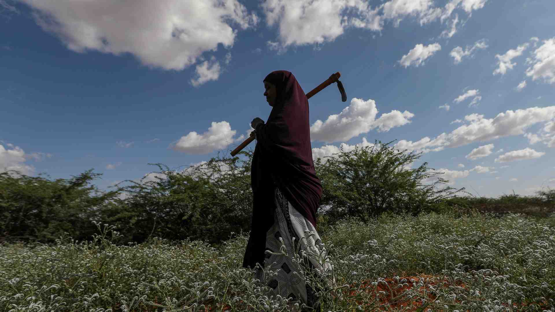 Immagine di Investimenti green, solo l’Europa resiste alla crisi