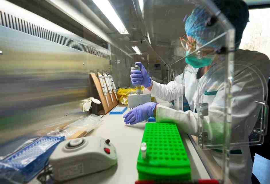 Molto prima dei vaccini anticovid, anche altri esseri viventi scambiavano messaggi usando l'Rna