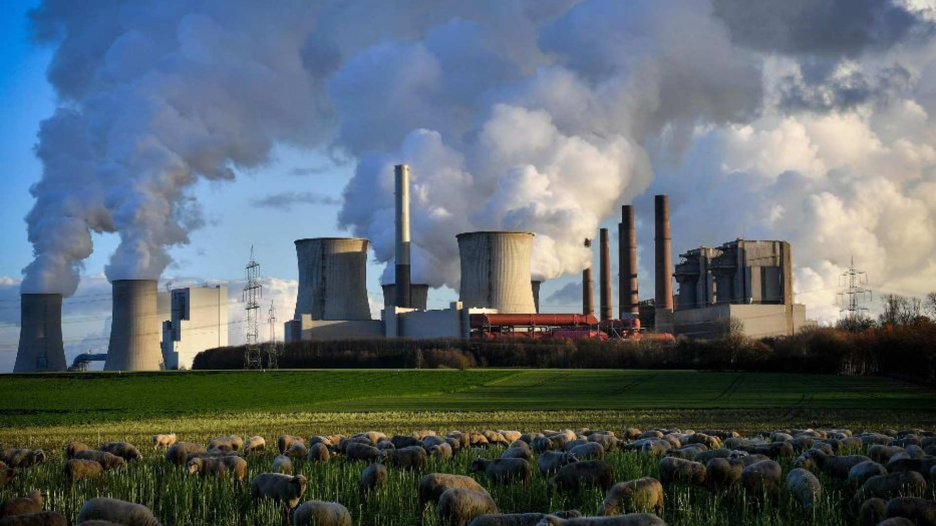 Immagine di Nel 2023 è stato registrato il record di emissioni di anidride carbonica