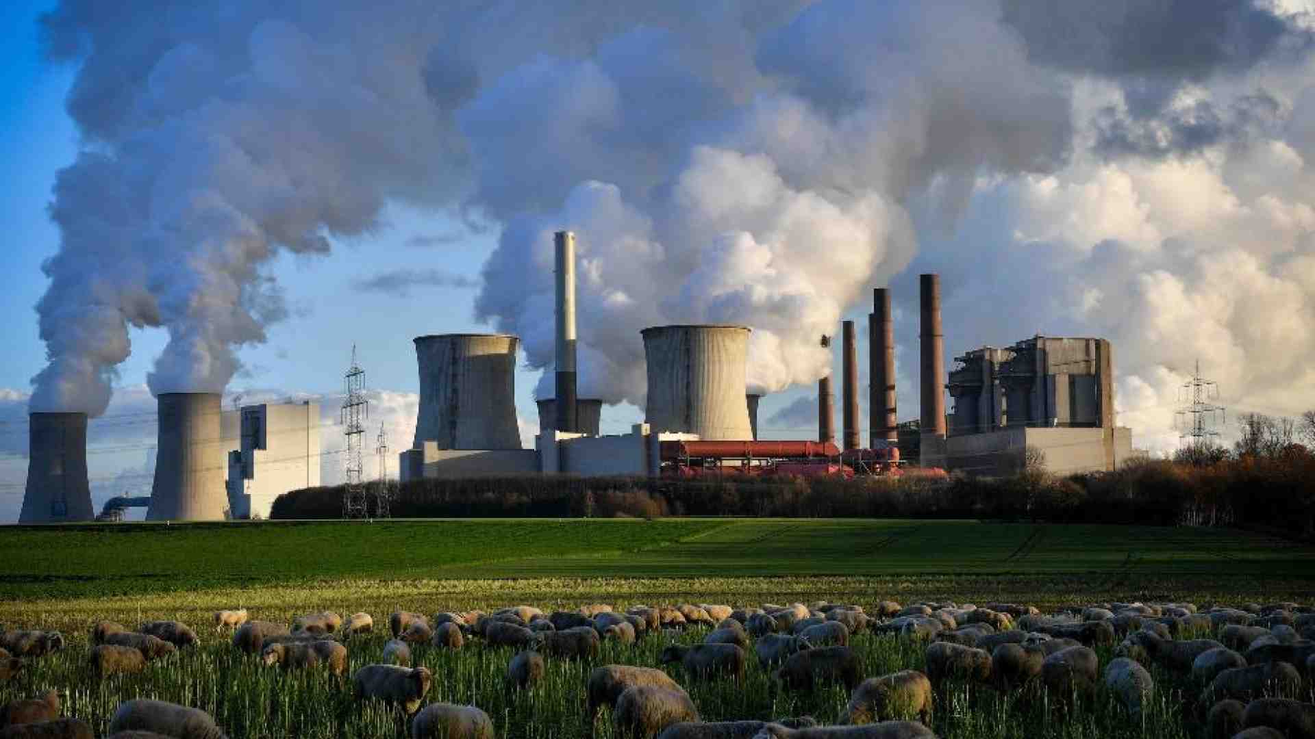 Immagine di Nel 2023 è stato registrato il record di emissioni di anidride carbonica