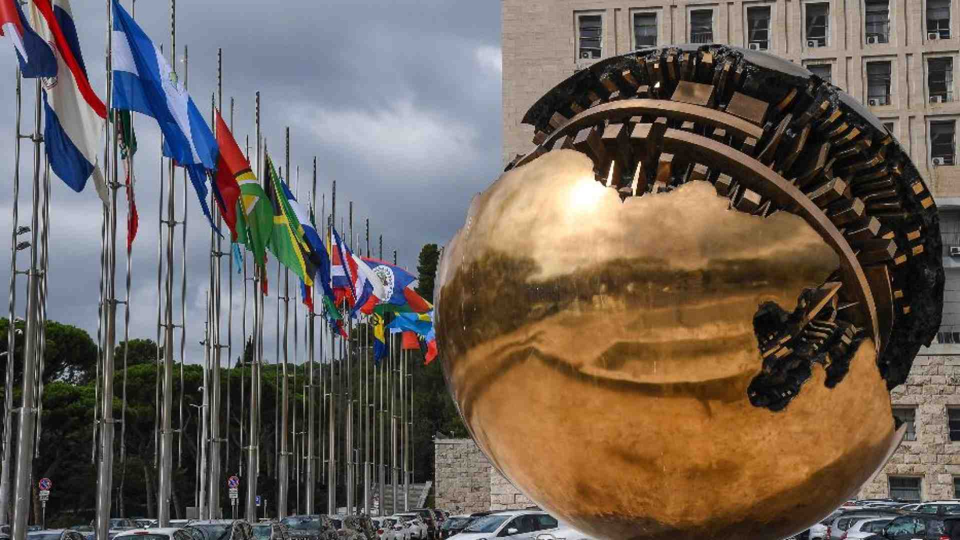 Immagine di Fermati tre cooperanti italiani in Tunisia