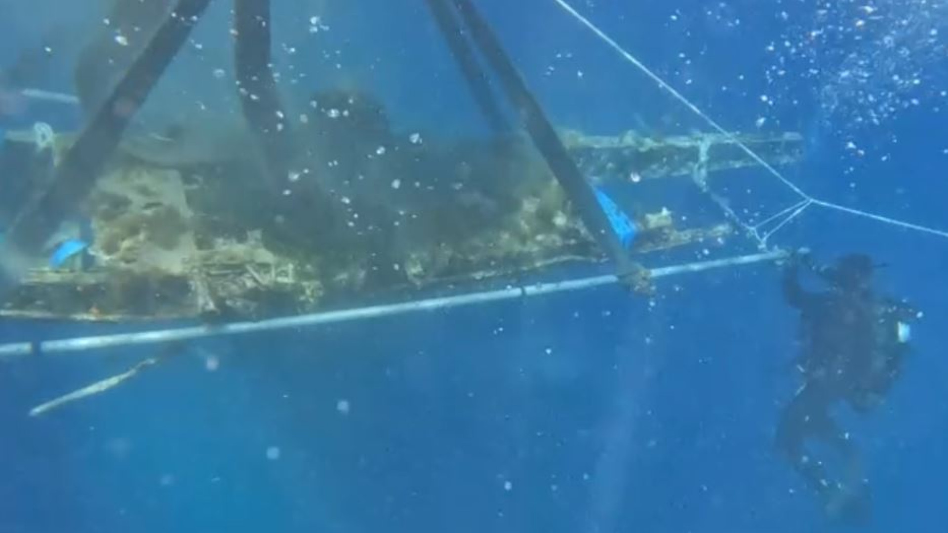 Immagine di Dal mare di Pantelleria riemerge l’aereo dell’asso Alvise Andrich