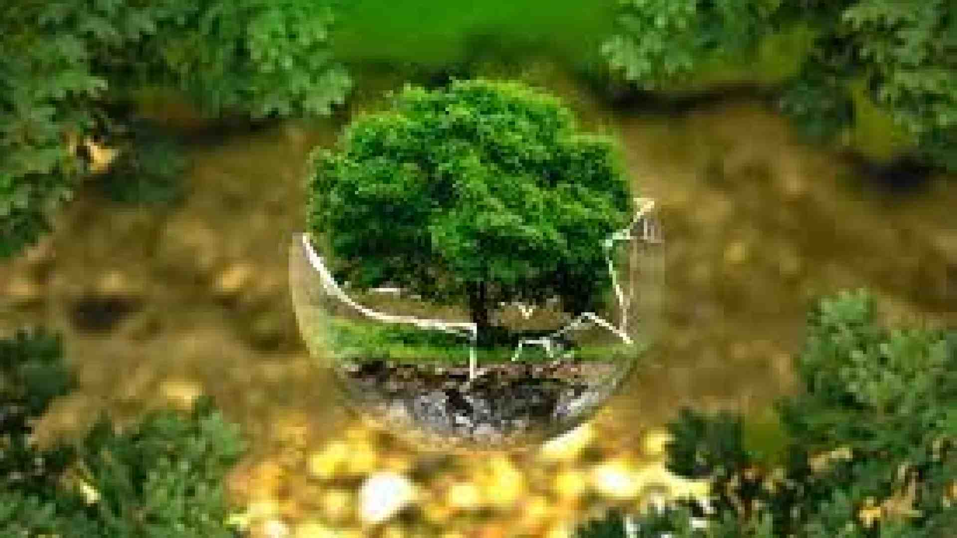 Immagine di Emissioni zero, idrogeno verde e cattura della CO2 tra le ipotesi di frontiera