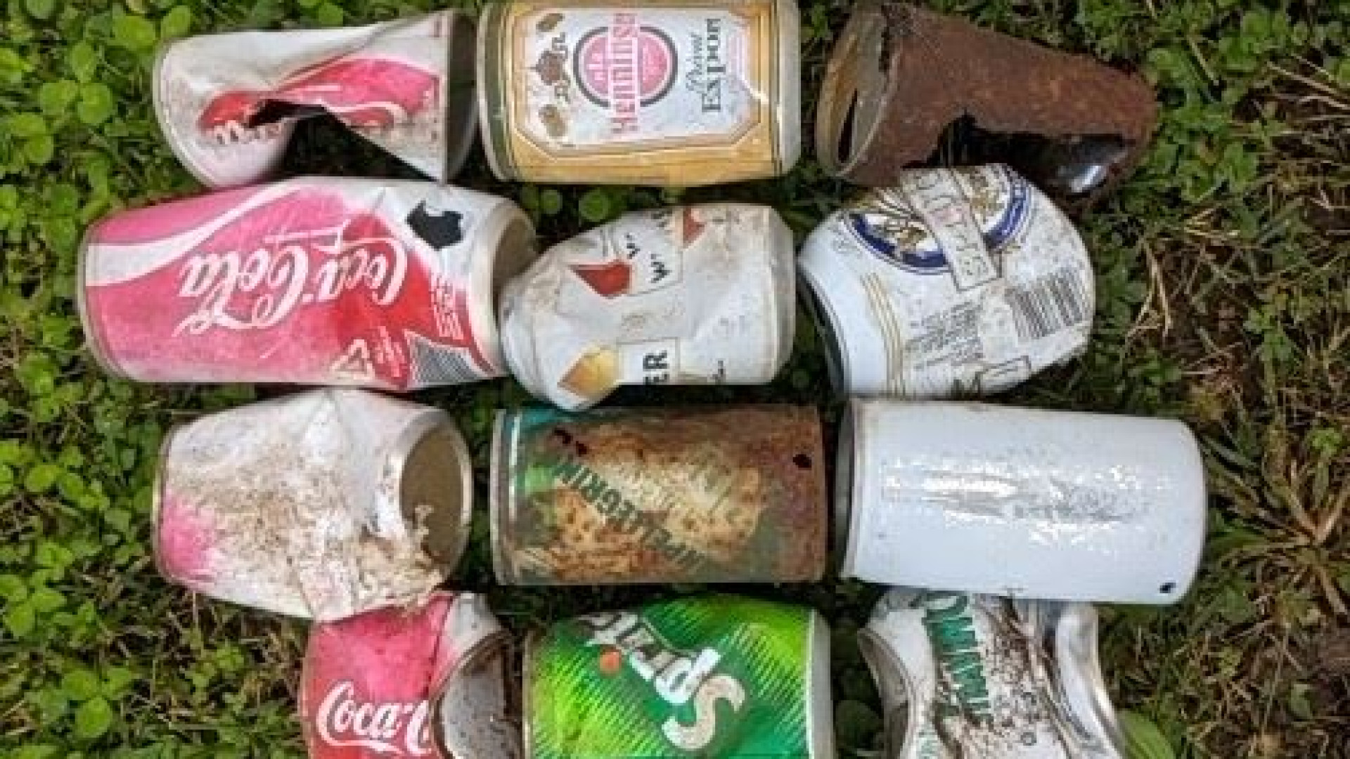 Immagine di Fazzoletti, lattine e pneumatici: sulle Alpi una vetta piena di rifiuti