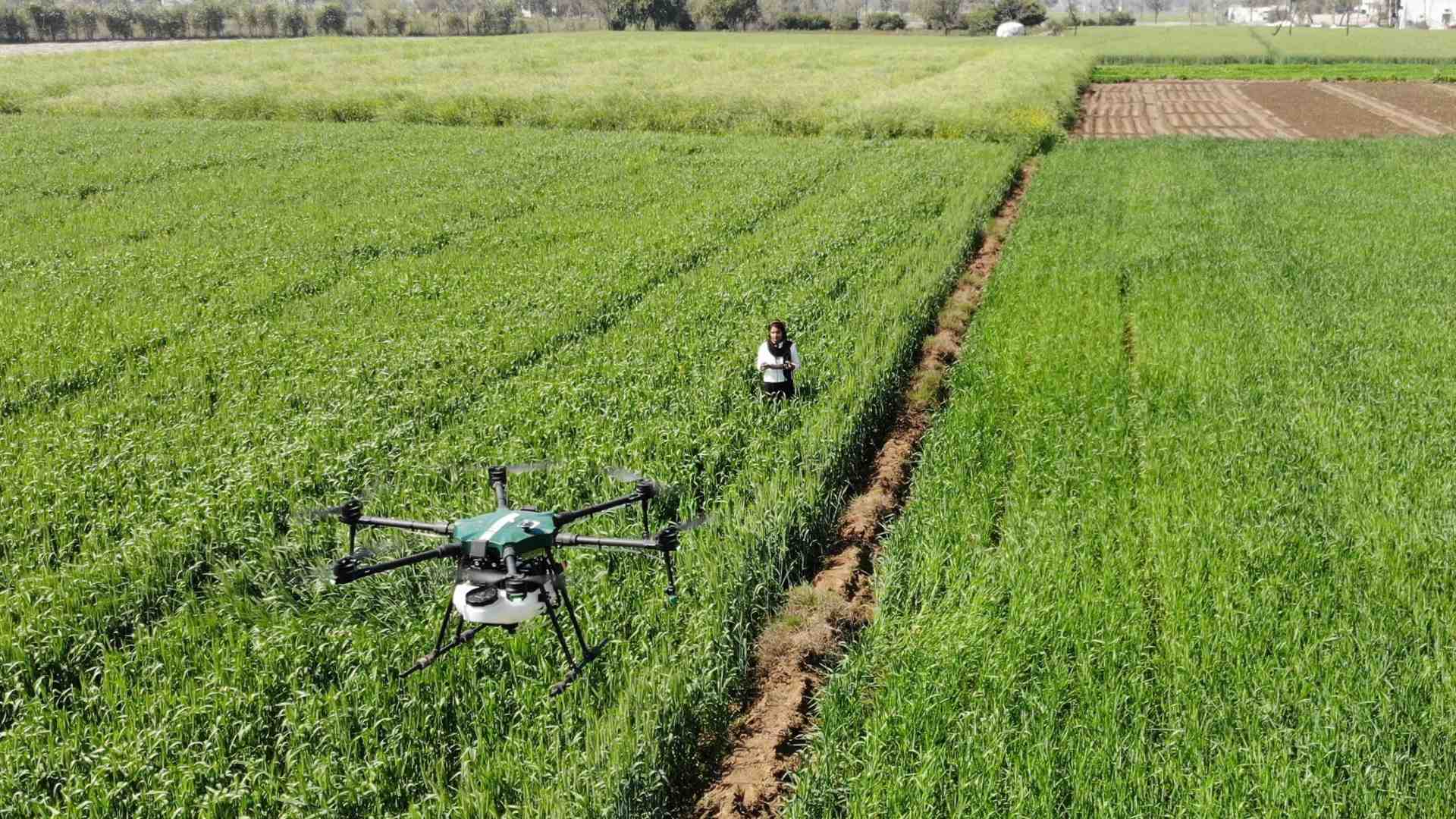 Immagine di Campi rigenerati: oltre al biologico c'è di più