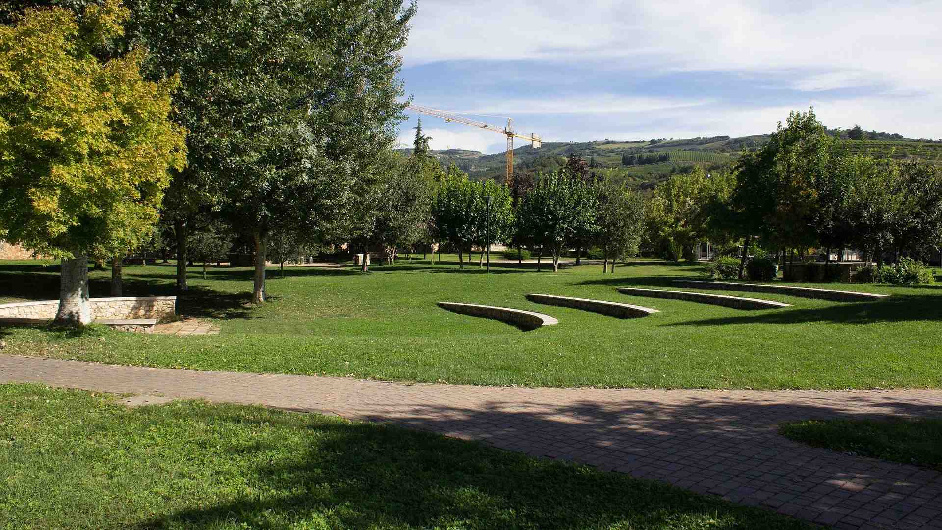 Immagine di La Rosina che volle il parco e il parco che non la ricorda