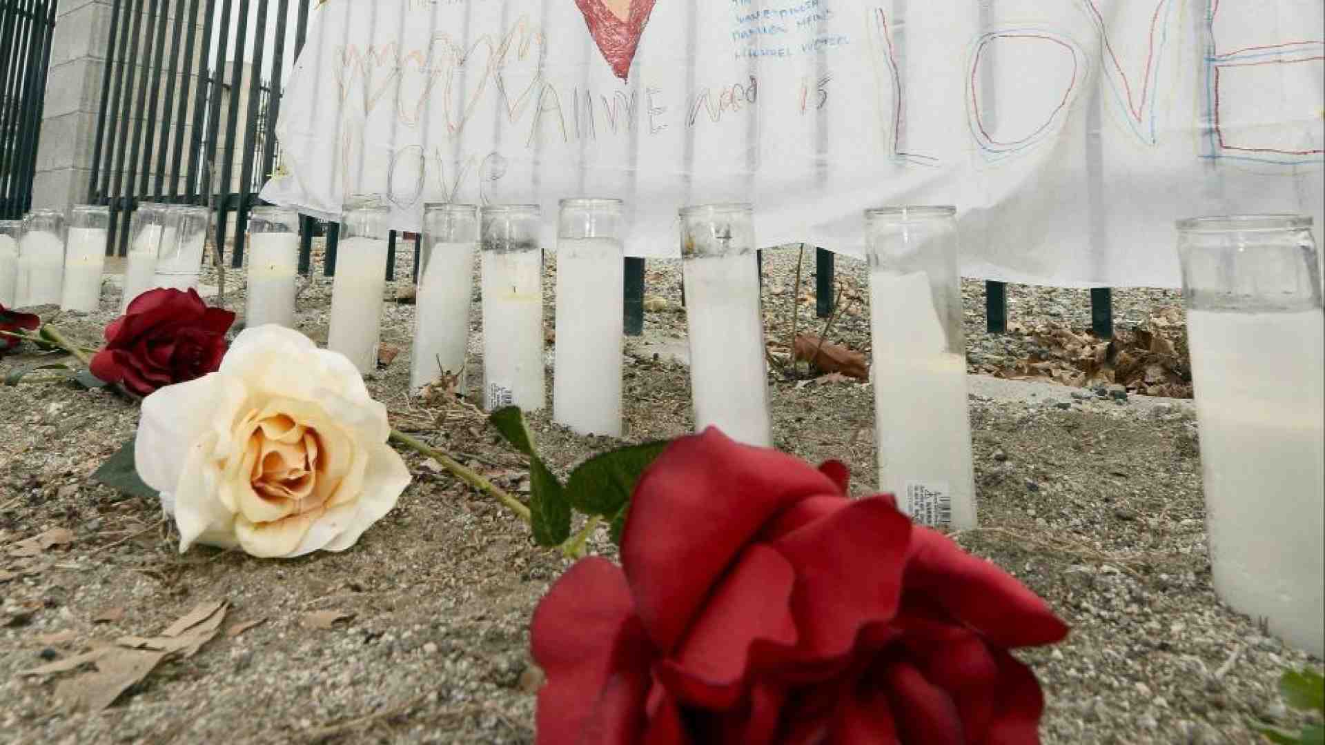 Immagine di La polizia ha ucciso un ragazzino autistico che brandiva una zappa