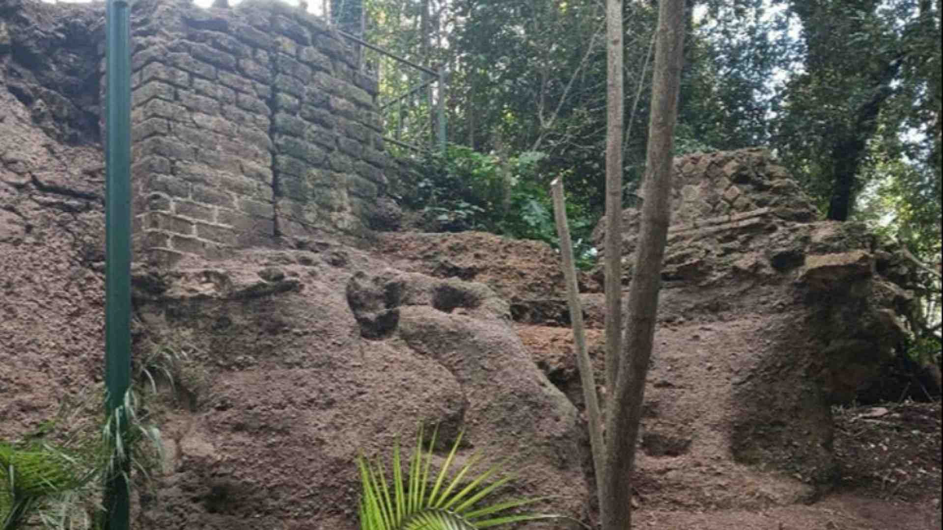 Immagine di Nuove scoperte a Villa Floridiana svelano la storia del Vomero