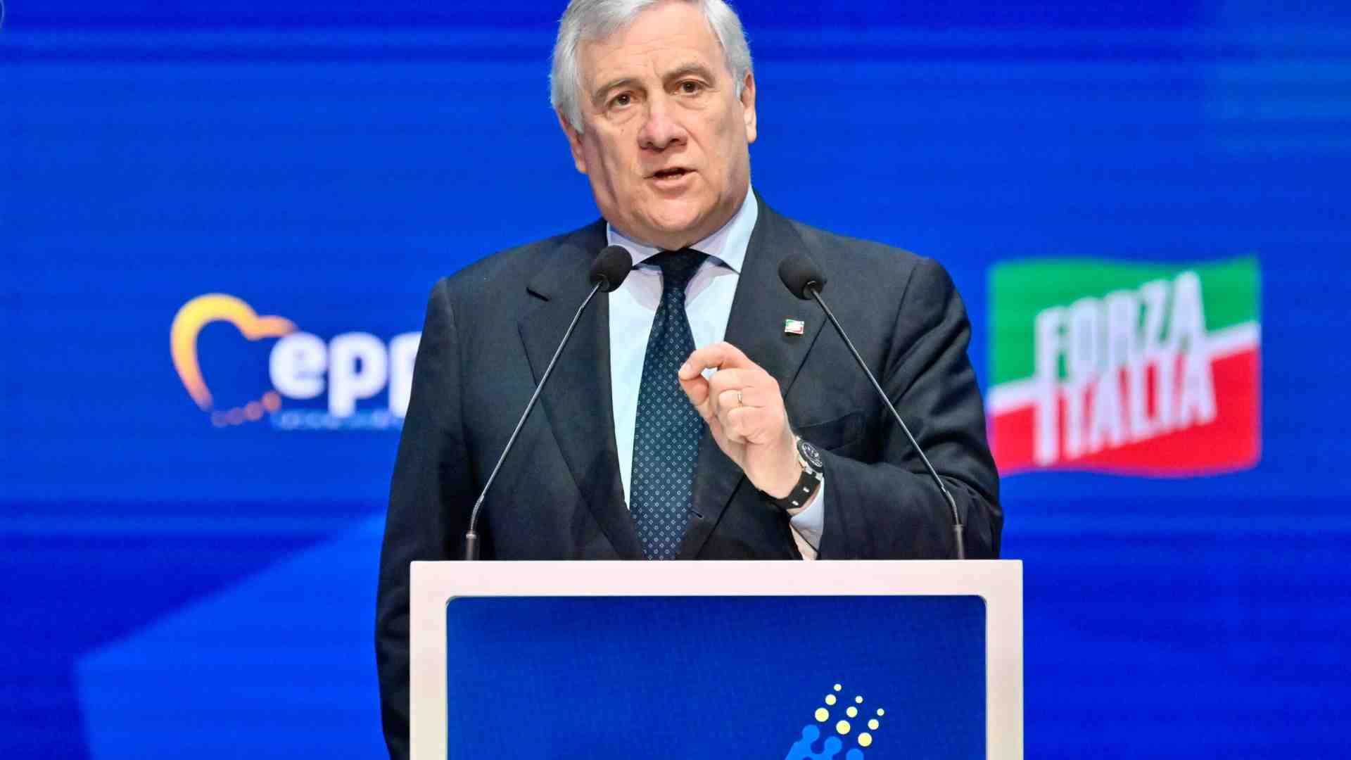 Immagine di FdI, Lega, Pd e M5s: tutti giù. Negli ultimi sondaggi cresce solo Forza Italia