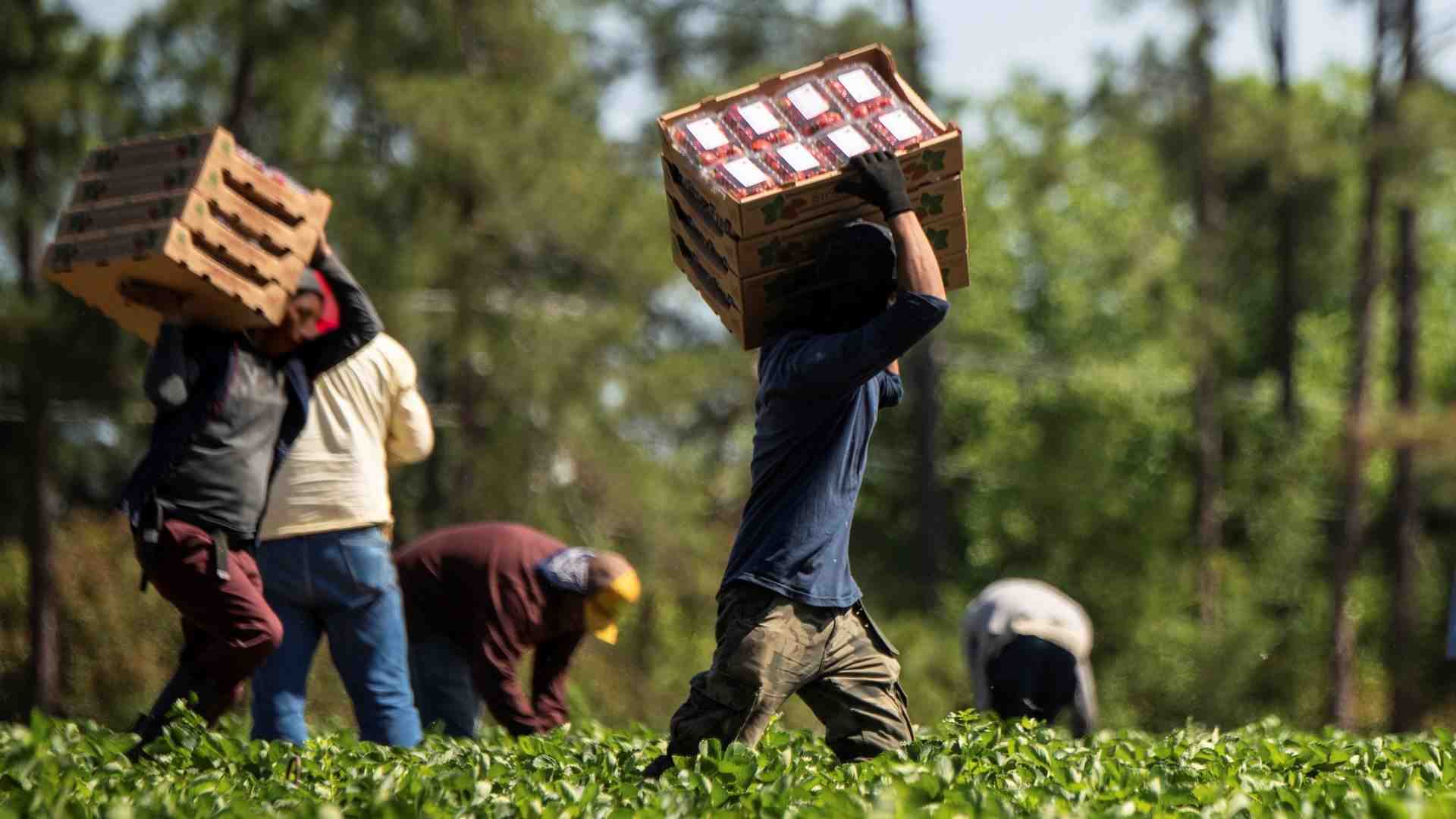 Immagine di Oltre 200 miliardi di profitti l'anno: chi si arricchisce col lavoro forzato