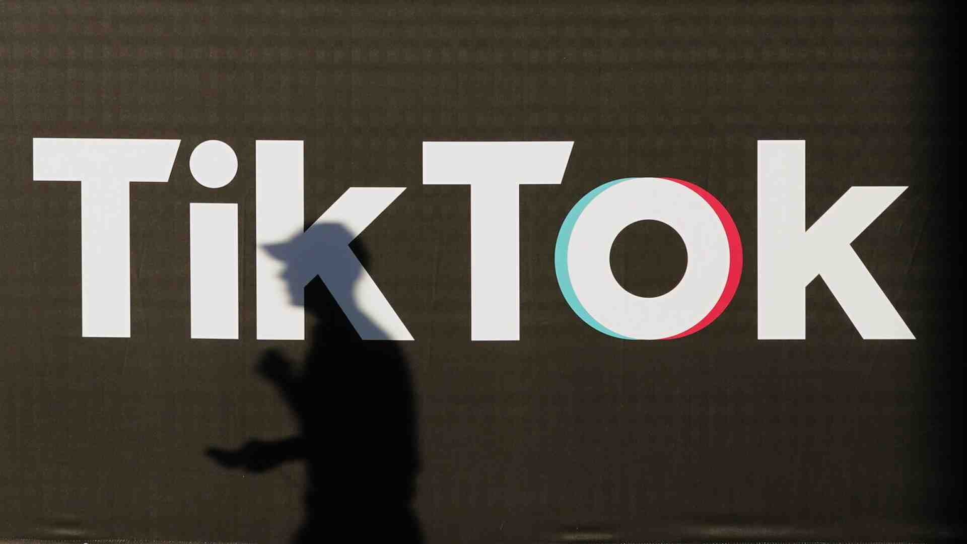 Immagine di Il rischio disinformazione su TikTok, dove spopolano i candidati di destra alle europee