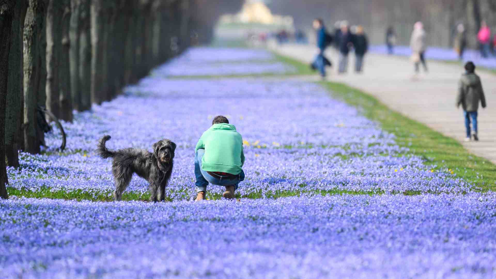 Immagine di La luce di marzo: è primavera