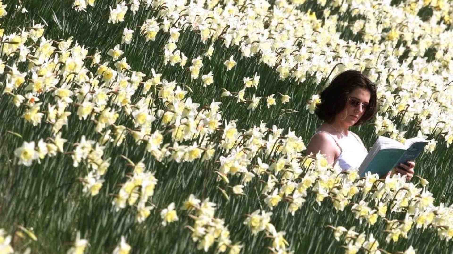 Immagine di Bentornata alla primavera, che non fa più notizia (e non è mai maledetta)
