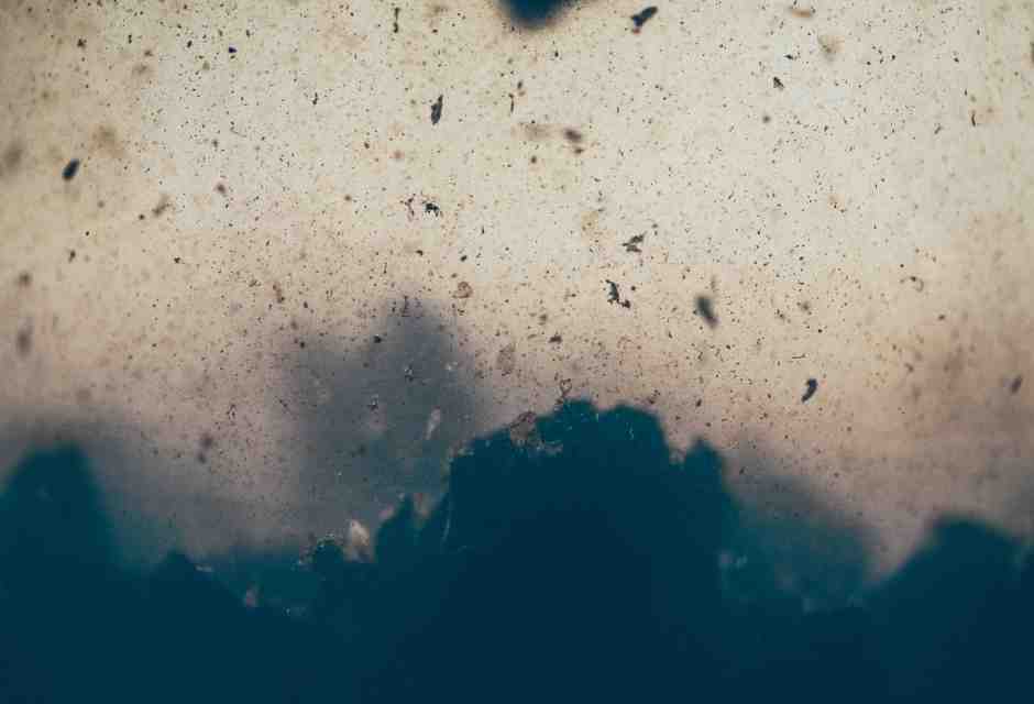 Foto di camilo jimenez su Unsplash&nbsp;<br />