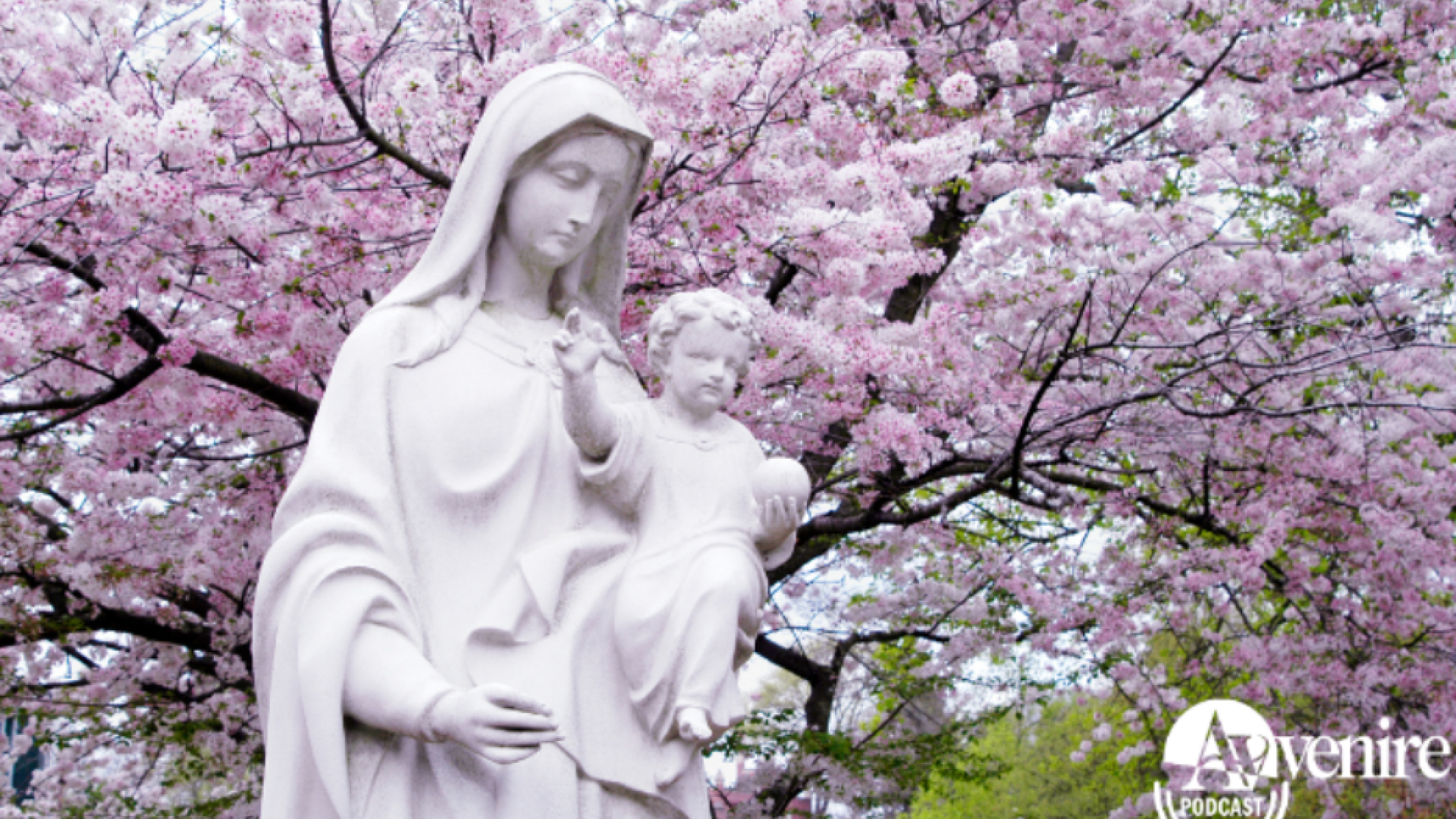 Immagine di Dentro l'Avvenire. Quando appare Maria
