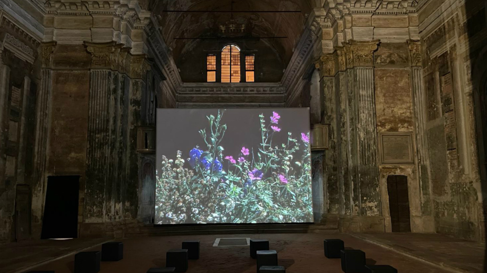 Immagine di Il “Requiem” di Mekas Messa che celebra la vita