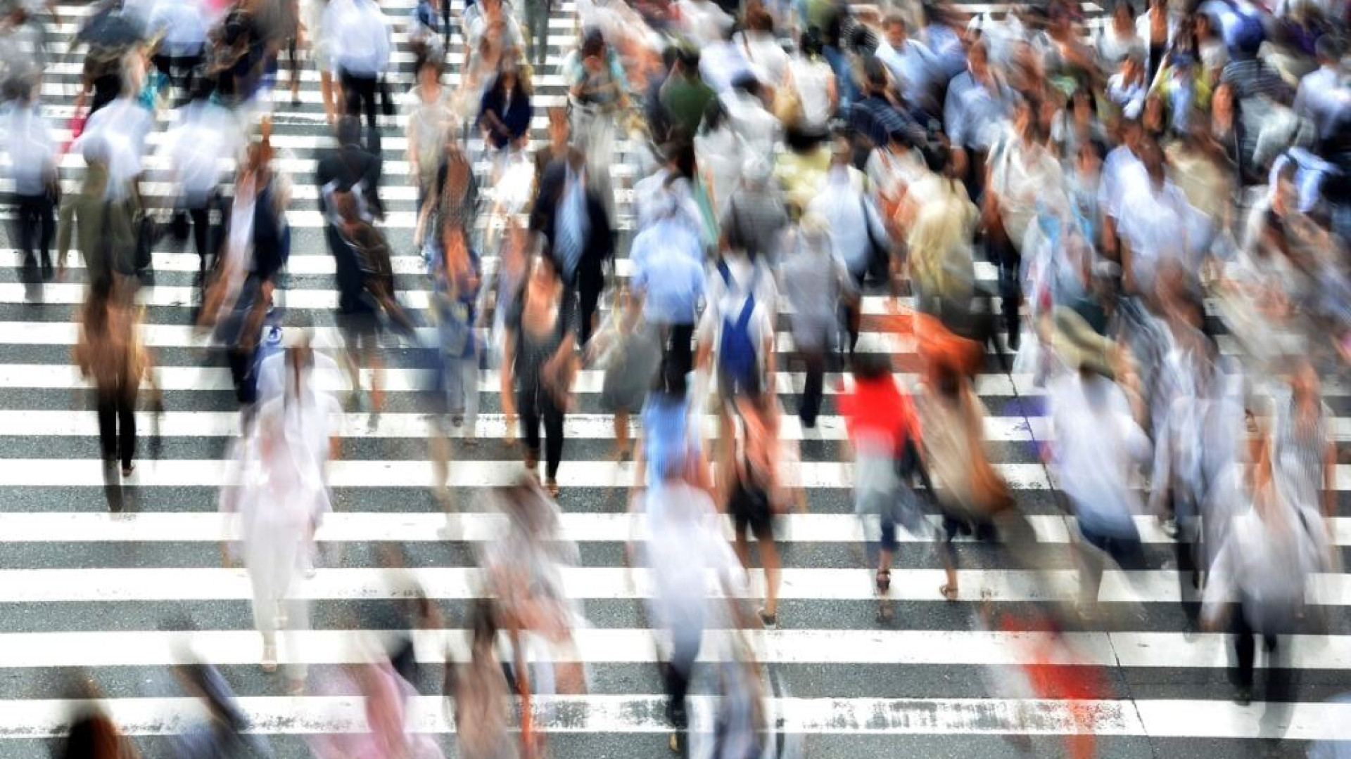 Immagine di Boom delle B Corp in Italia: +41% nel 2023