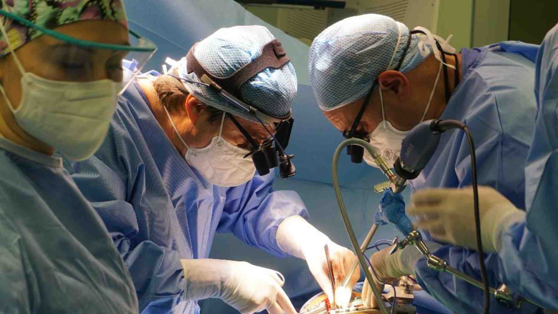 Immagine di Xenotrapianti, una frontiera che si avvicina