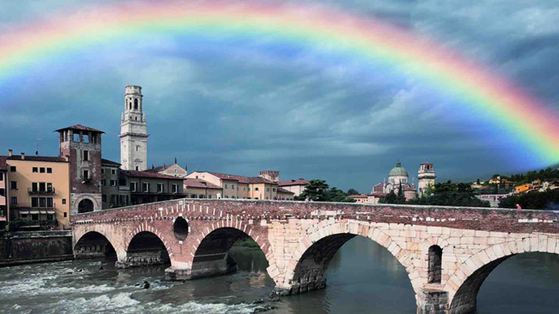 Immagine di La vita può sempre risorgere