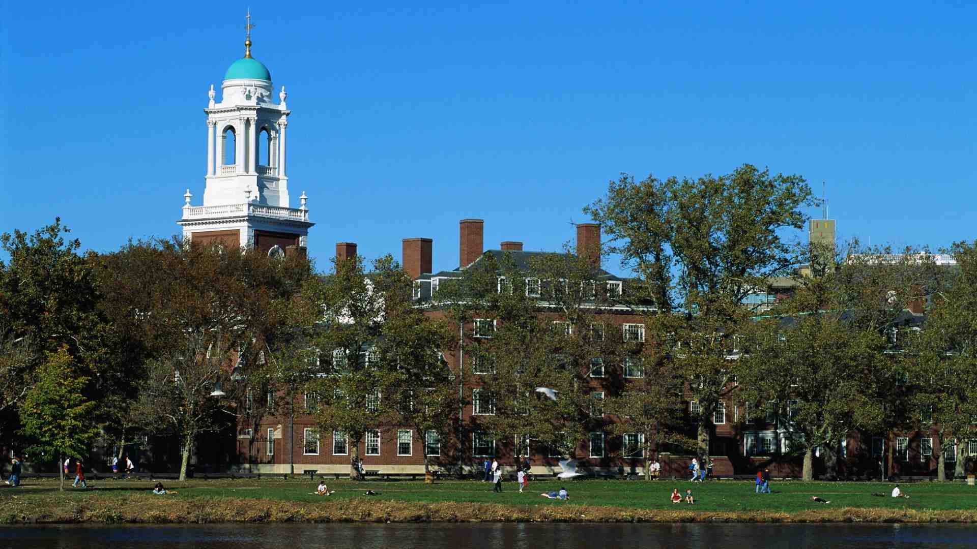 Immagine di Ora ad Harvard calano le domande di iscrizione