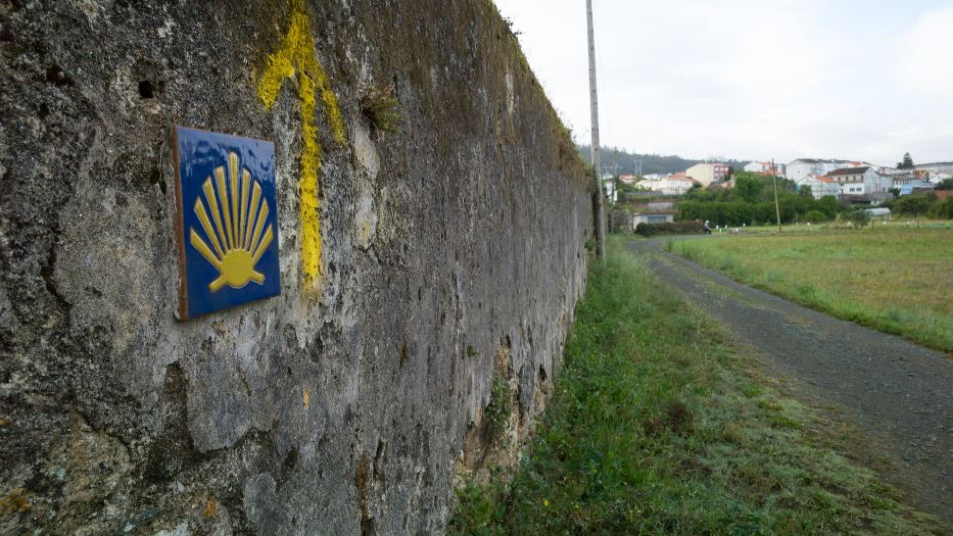 Immagine di Verso Santiago, un cammino con cento storie dentro