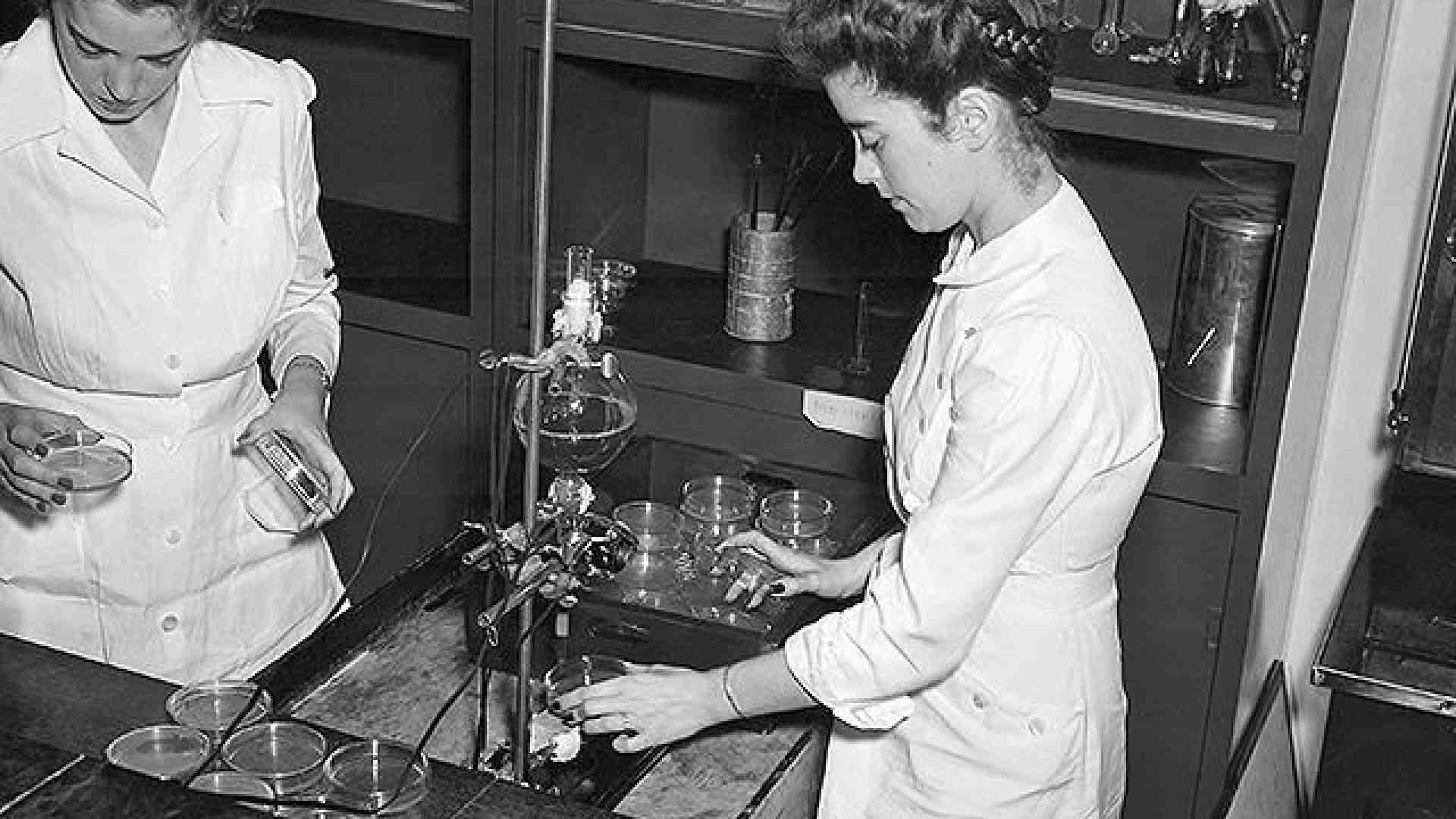 Immagine di La storia delle donne che hanno allungato la vita all’uomo