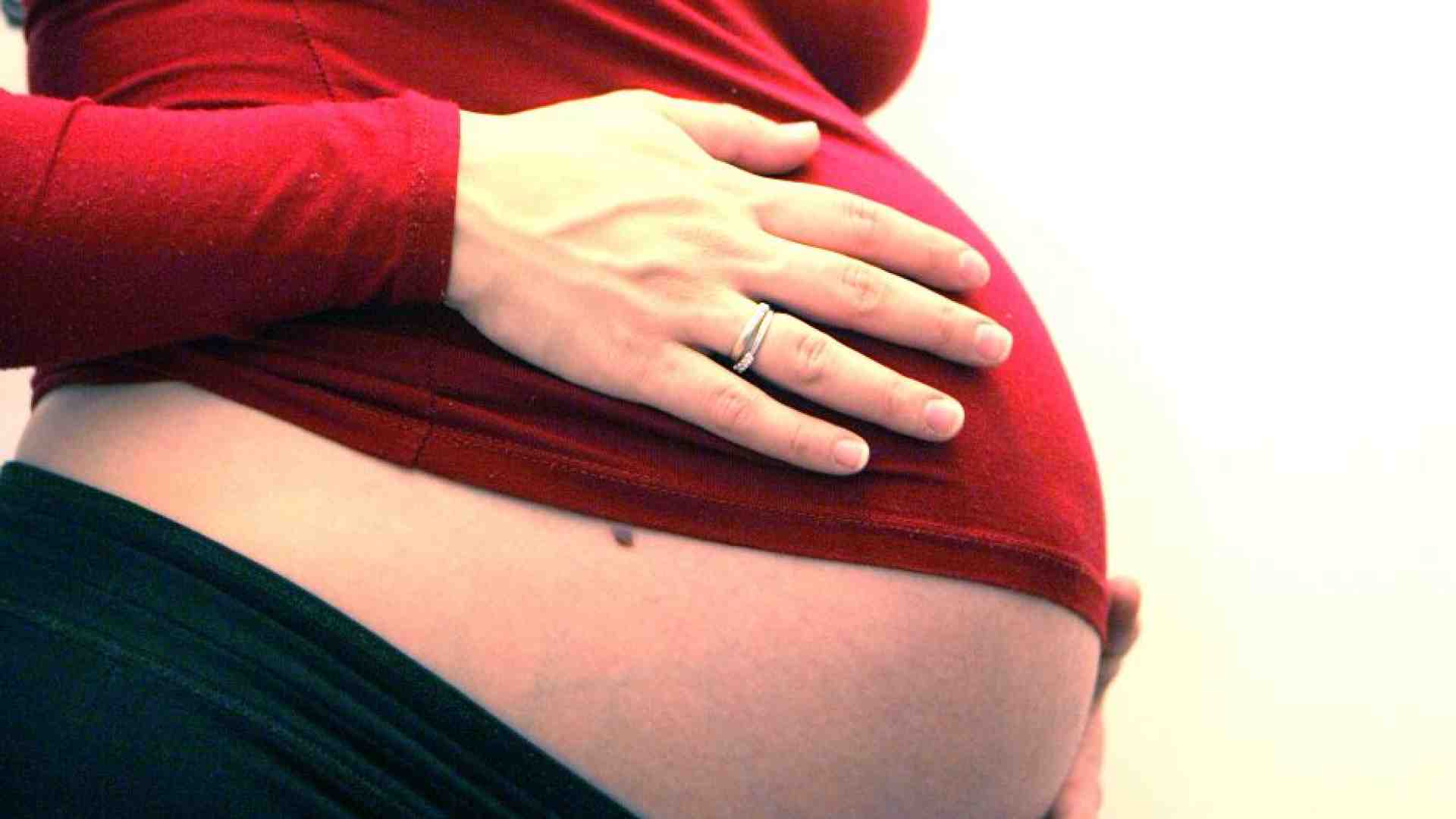 Immagine di Maternità surrogata, a Roma da tutto il mondo per metterla al bando