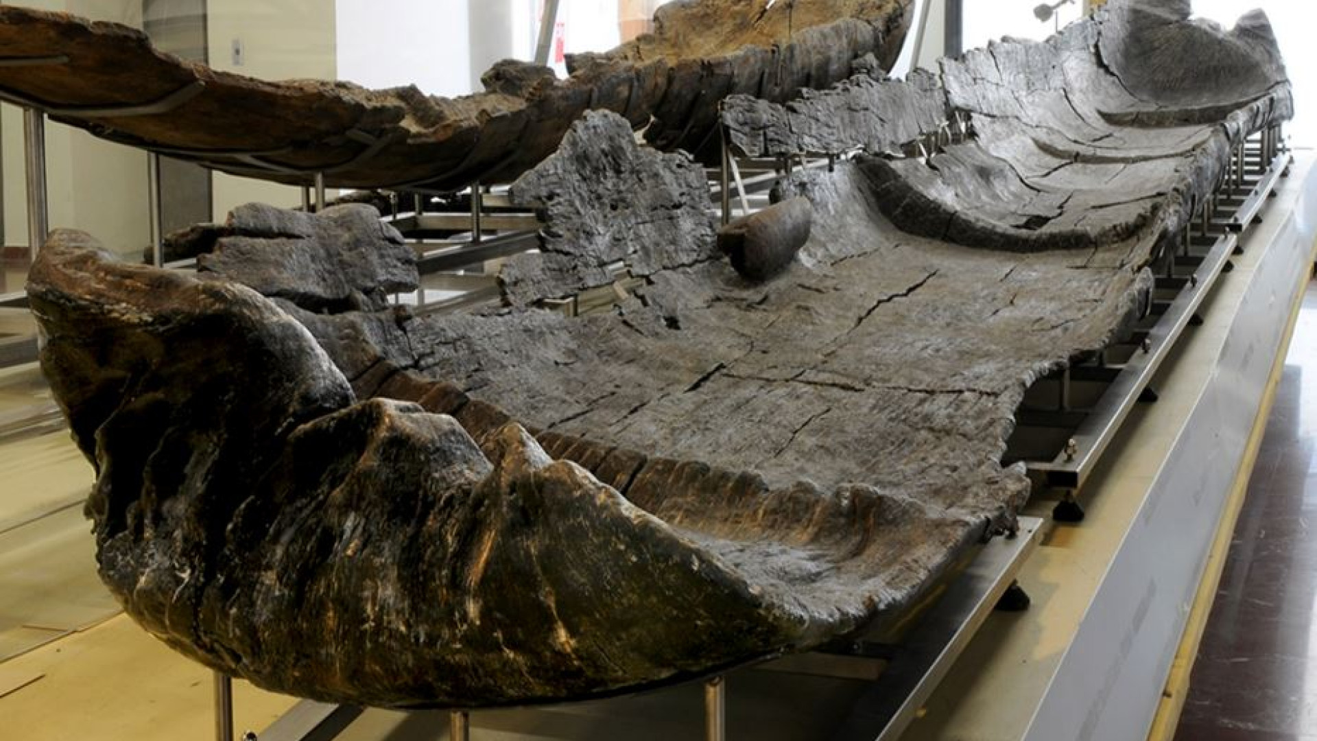 Immagine di Lago di Bracciano, le canoe neolitiche hanno più di 7mila anni