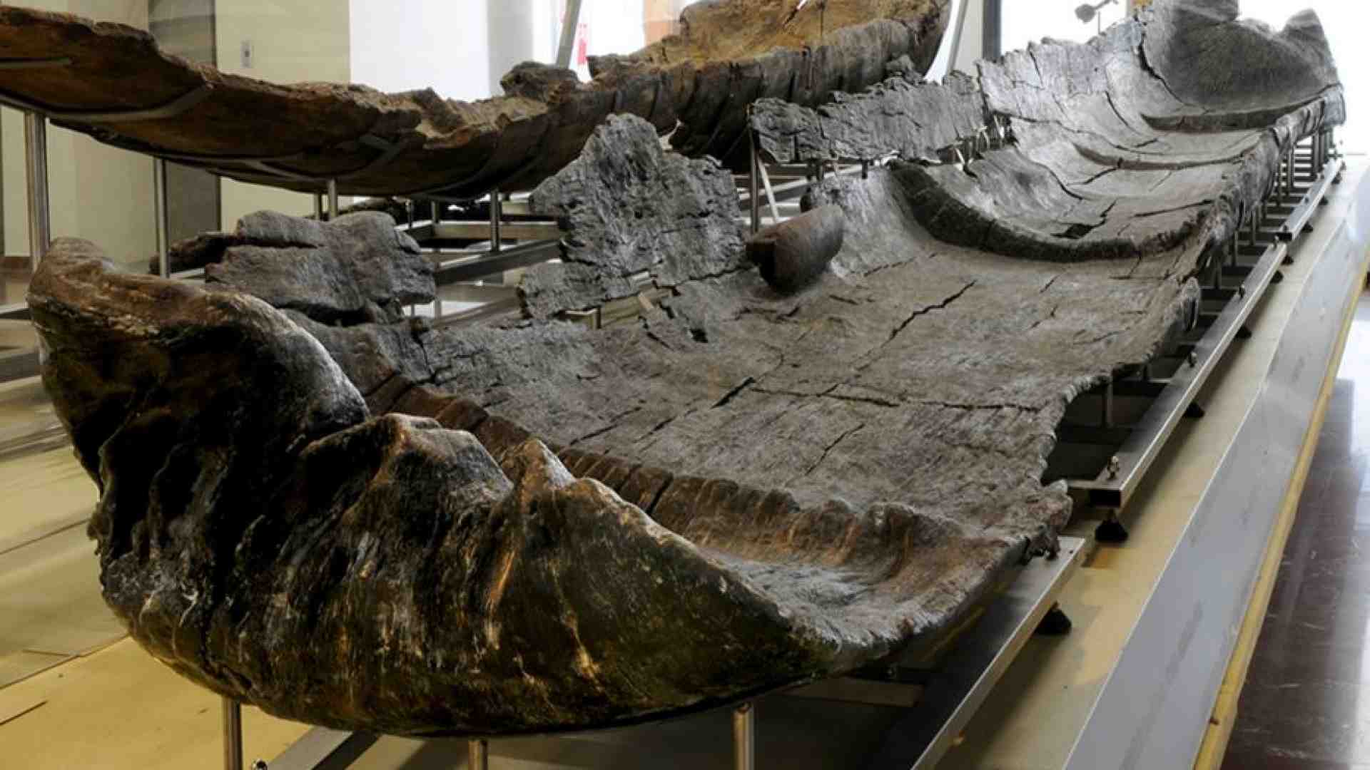 Immagine di Lago di Bracciano, le canoe neolitiche hanno più di 7mila anni