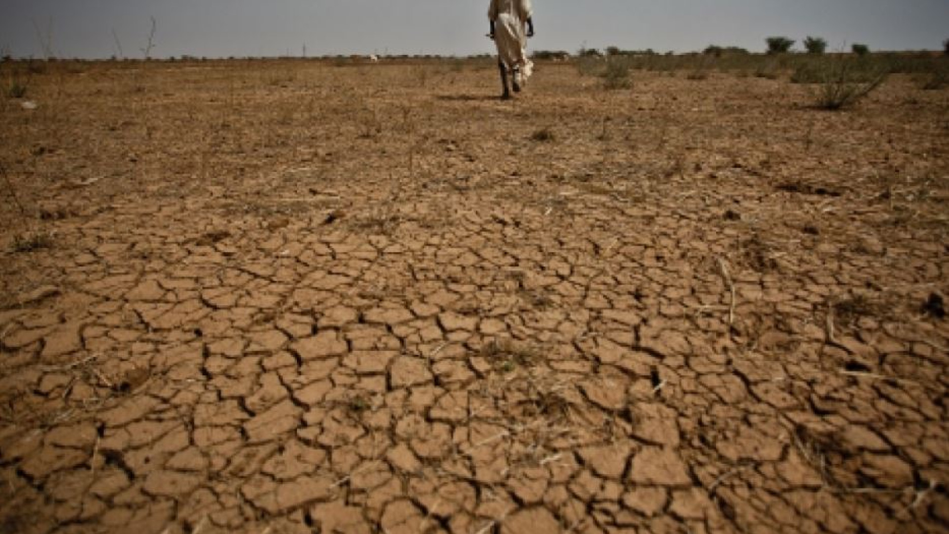 Immagine di Metà dei bambini non scolarizzati vive in Paesi a rischio climatico
