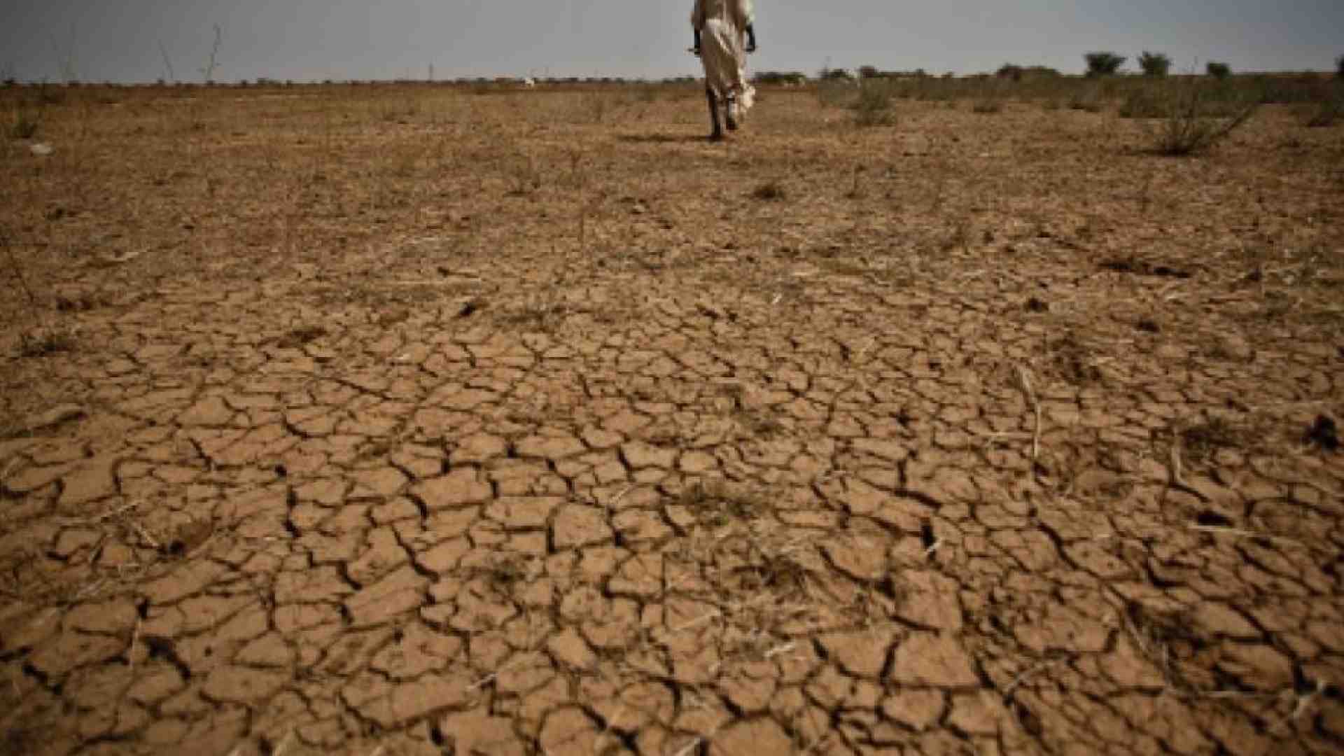 Immagine di Metà dei bambini non scolarizzati vive in Paesi a rischio climatico