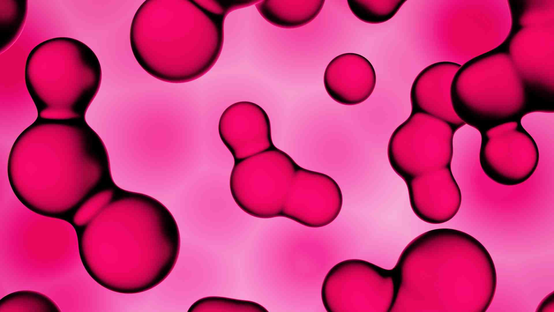 Immagine di Che cosa è la vita? Domande senza risposta