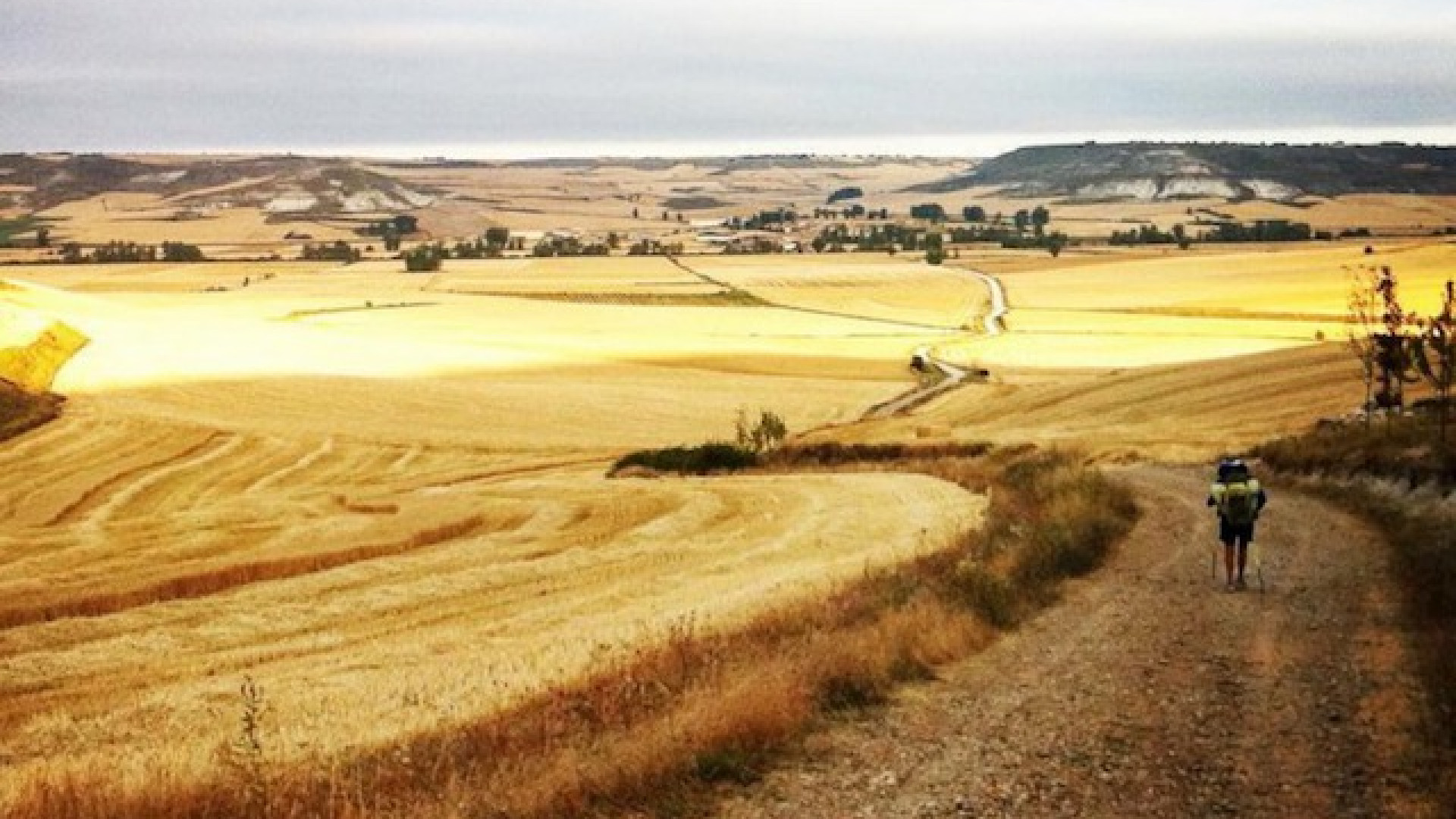 Immagine di «Una Voz Interior che porta in Cammino»