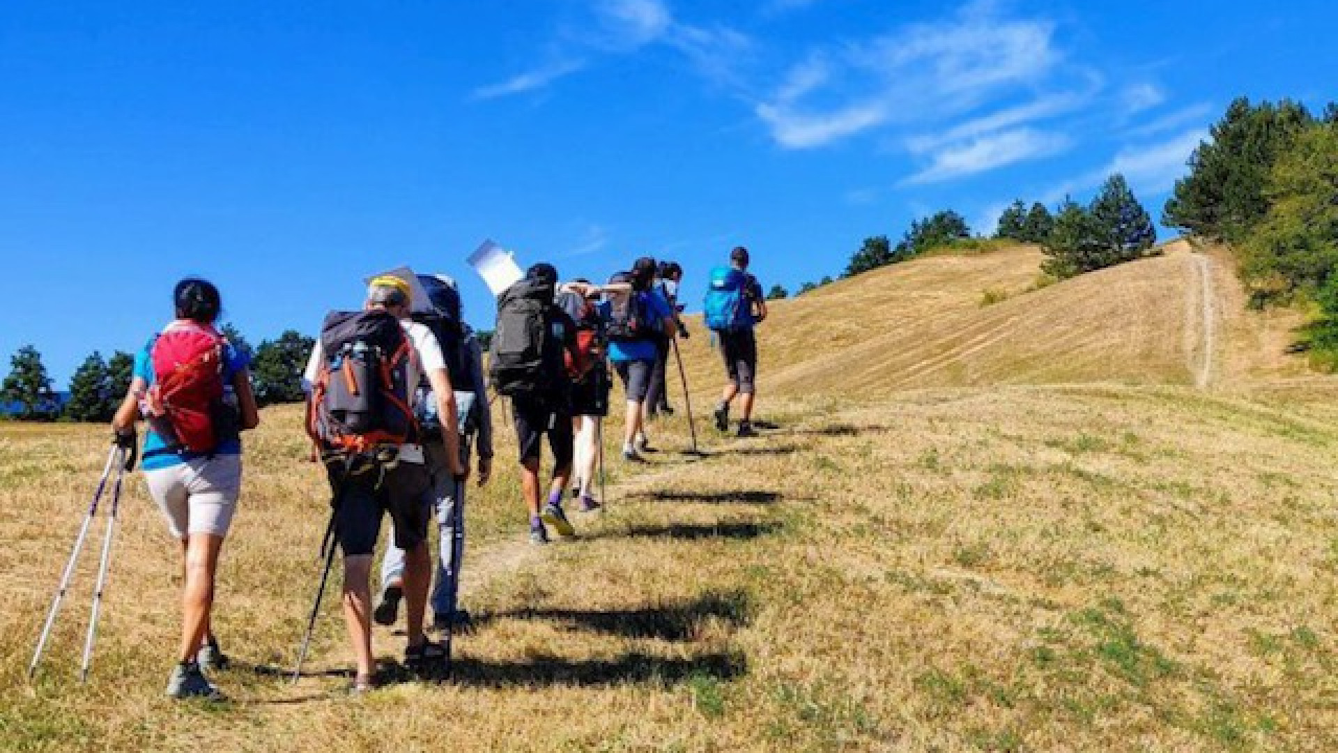 Immagine di Cammini #inLombardia: storia e itinerari