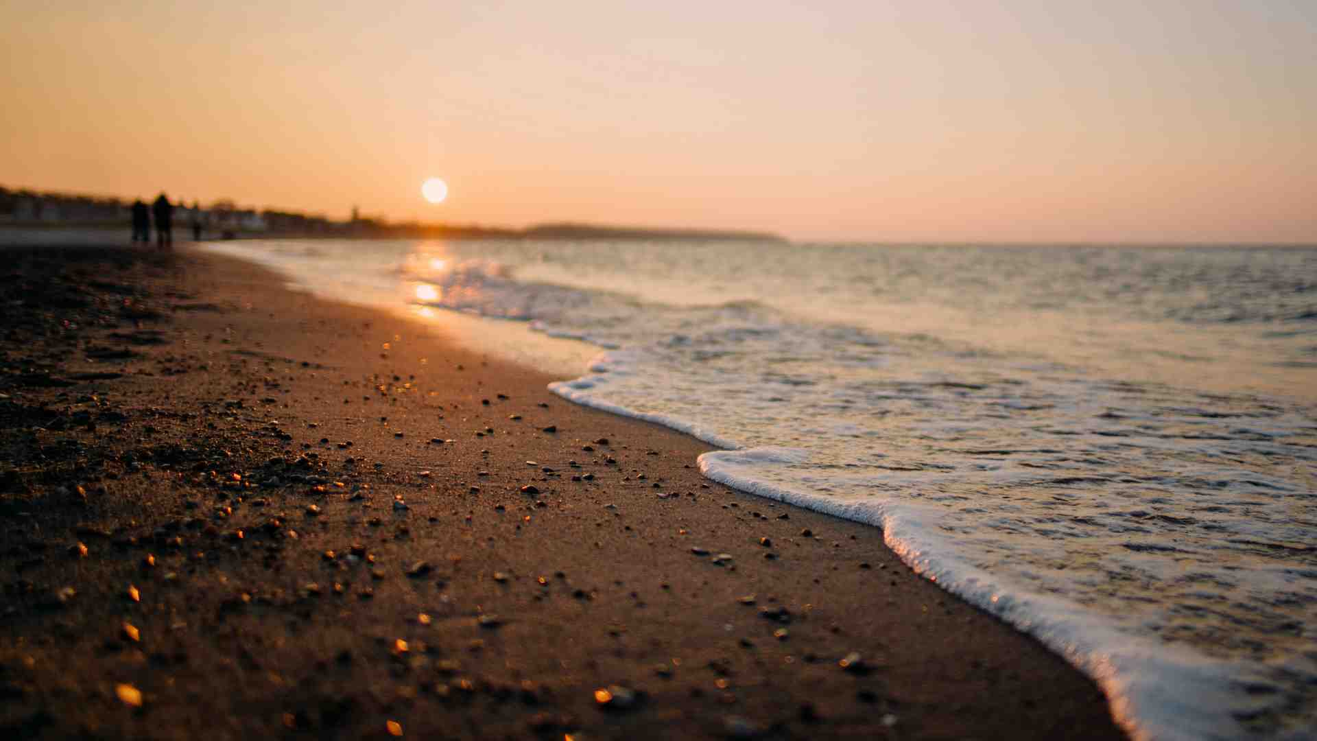 Immagine di Starnone e la magia di scrivere e di desiderare