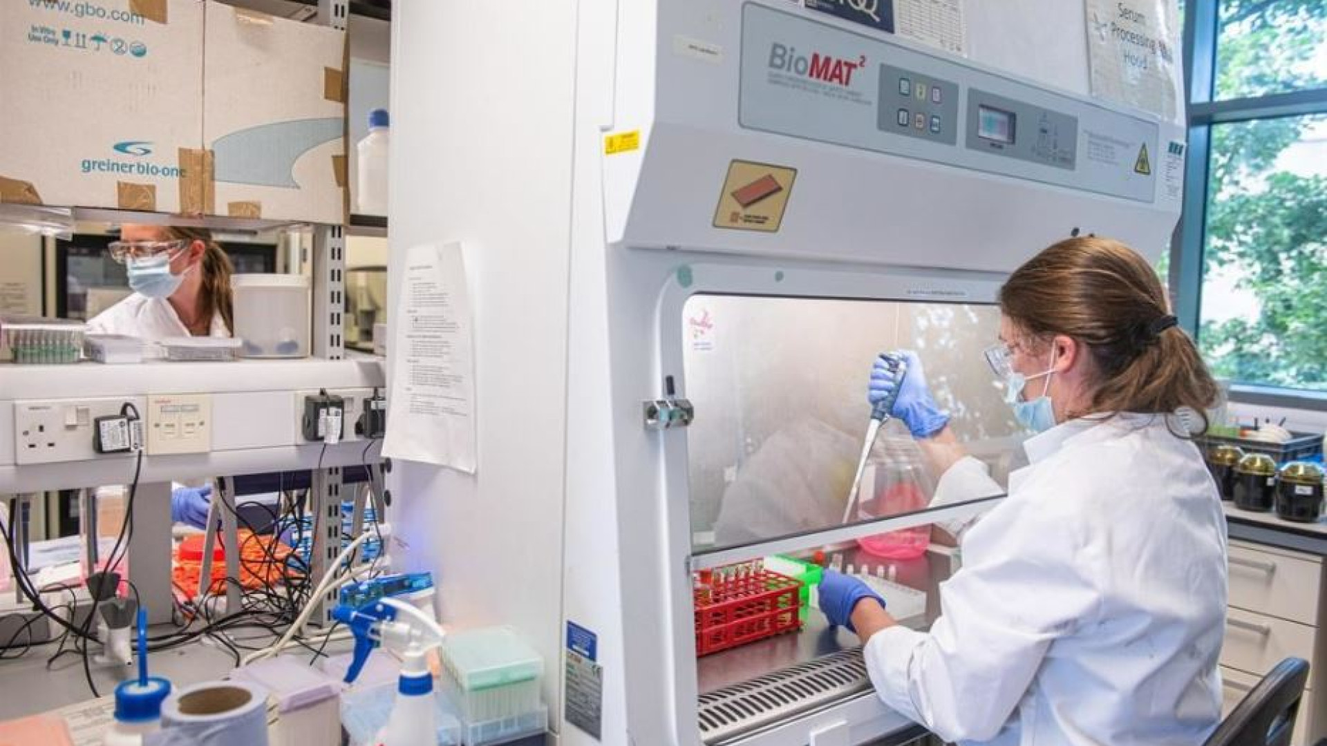 Immagine di Cancro del pancreas: effetti sorprendenti da farmaco mirato più immunoterapia